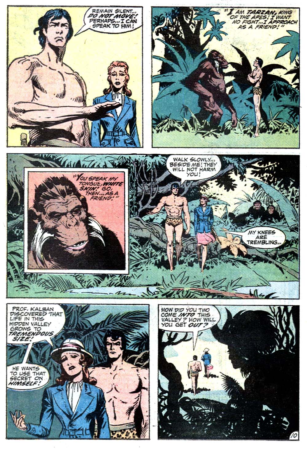 Read online Tarzan (1972) comic -  Issue #211 - 13