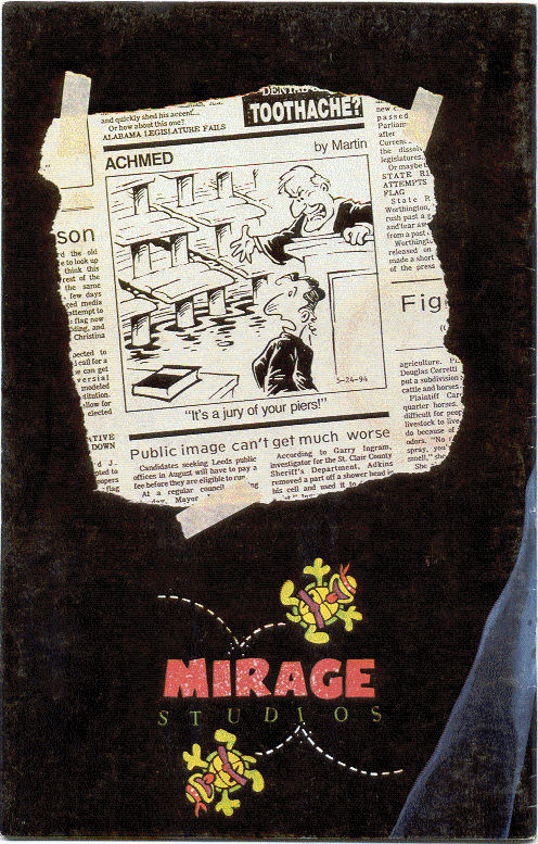 Teenage Mutant Ninja Turtles (1984) Issue #16 #16 - English 2