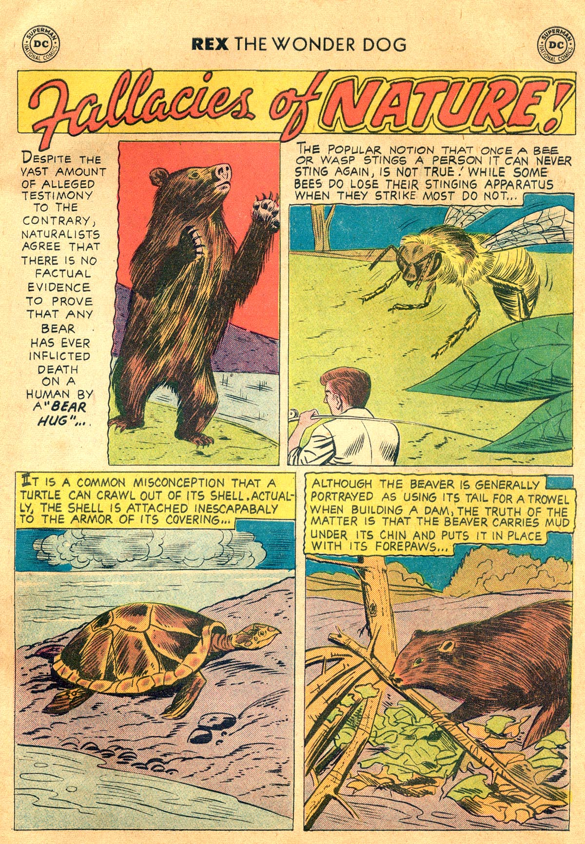 Read online The Adventures of Rex the Wonder Dog comic -  Issue #40 - 33