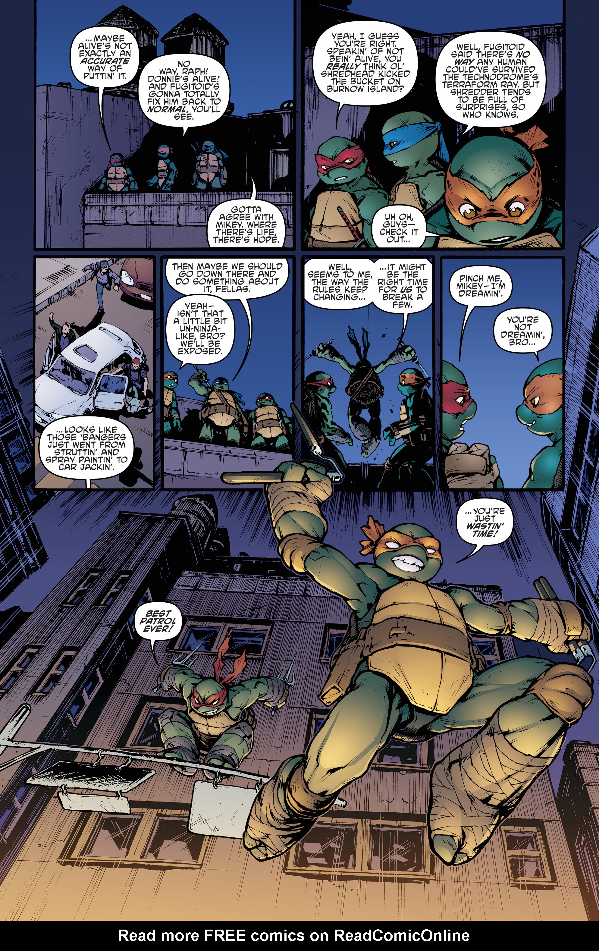 Read online Free Comic Book Day 2015 comic -  Issue # Teenage Mutant Ninja Turtles - Prelude to Vengeance - 16