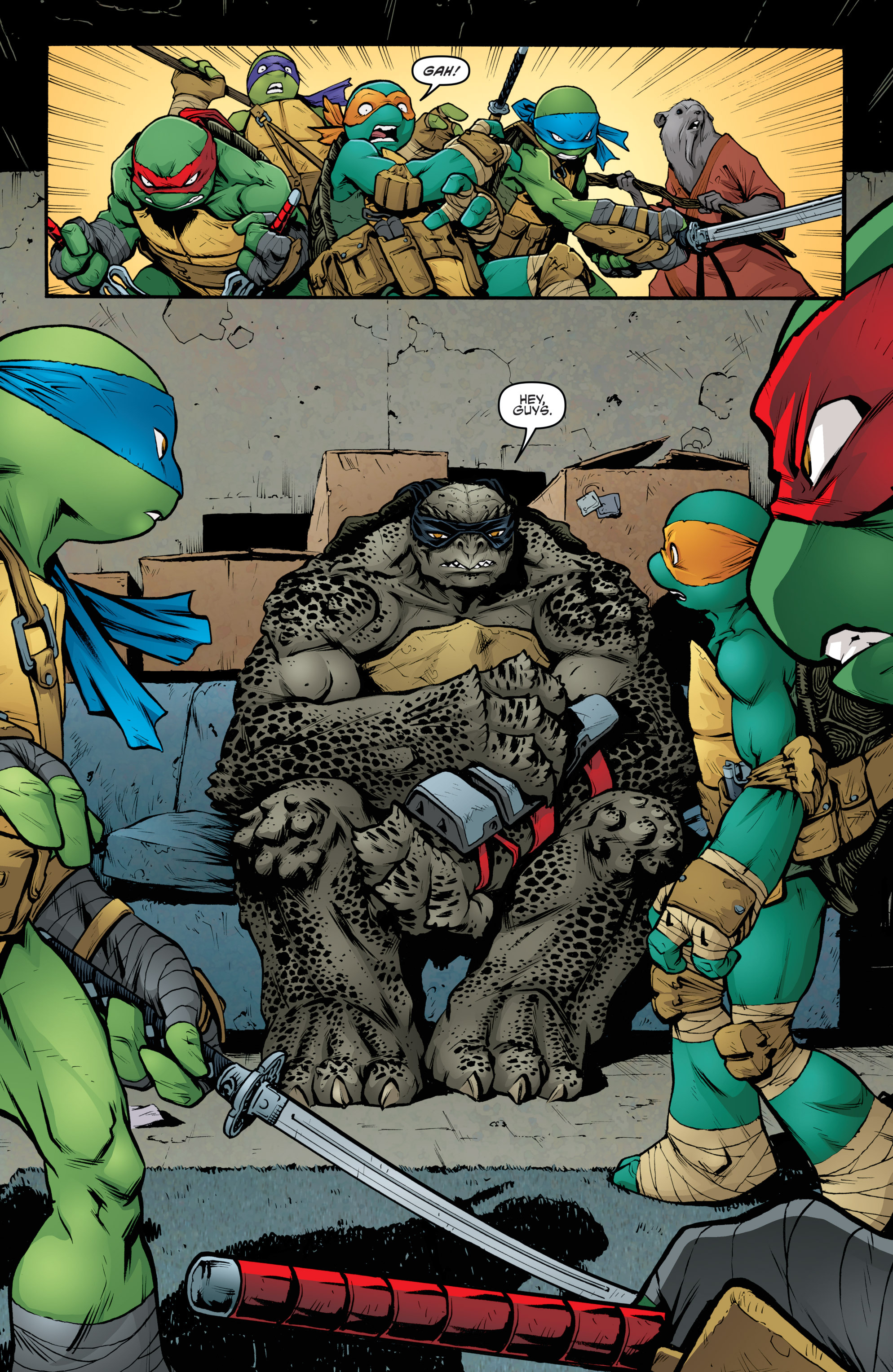 Read online Teenage Mutant Ninja Turtles: The IDW Collection comic -  Issue # TPB 5 (Part 2) - 4