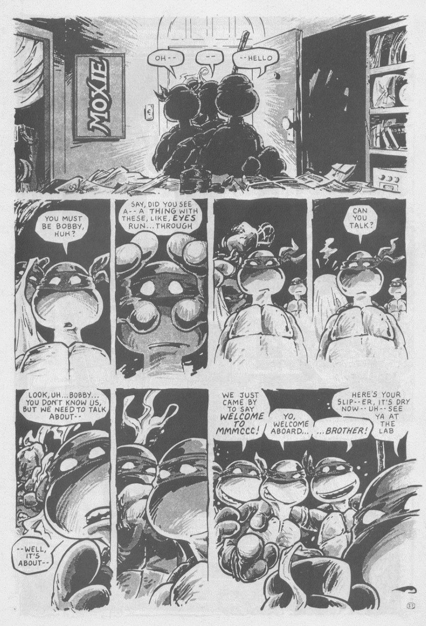 Teenage Mutant Ninja Turtles (1984) Issue #16 #16 - English 30