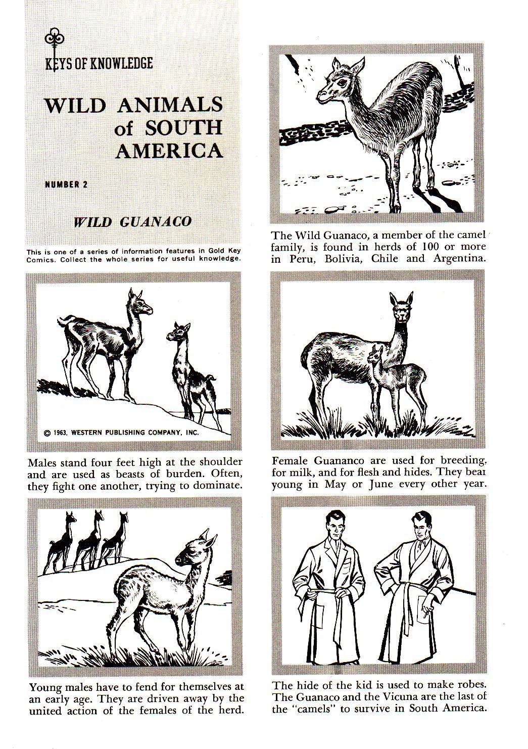 Read online Huckleberry Hound (1960) comic -  Issue #23 - 35