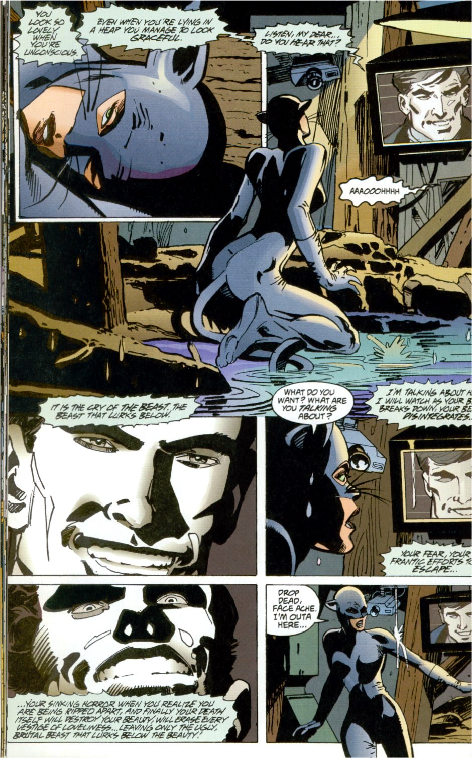 Read online Batman: Catwoman Defiant comic -  Issue # Full - 22