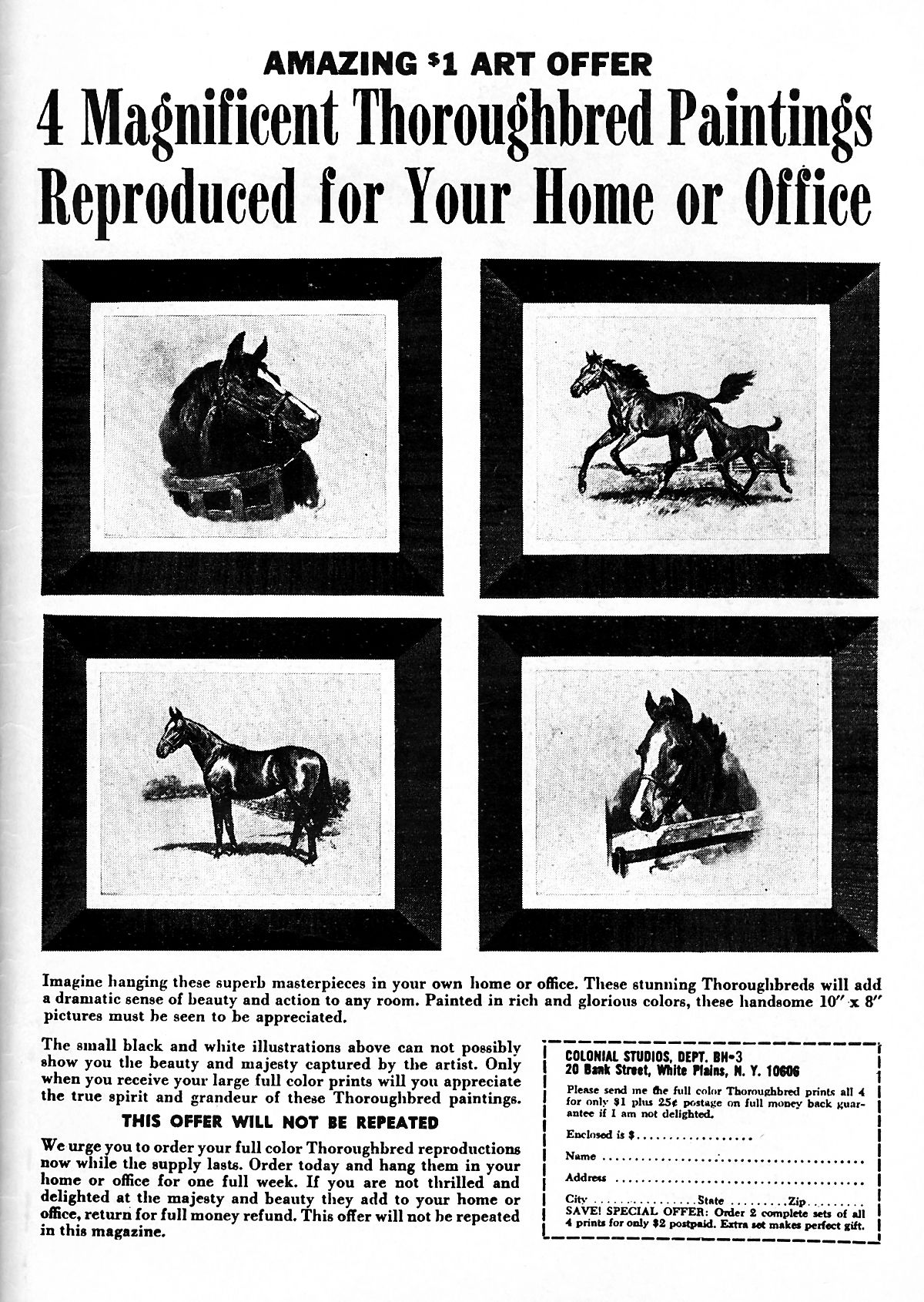 Read online Captain Savage and his Leatherneck Raiders comic -  Issue #11 - 35