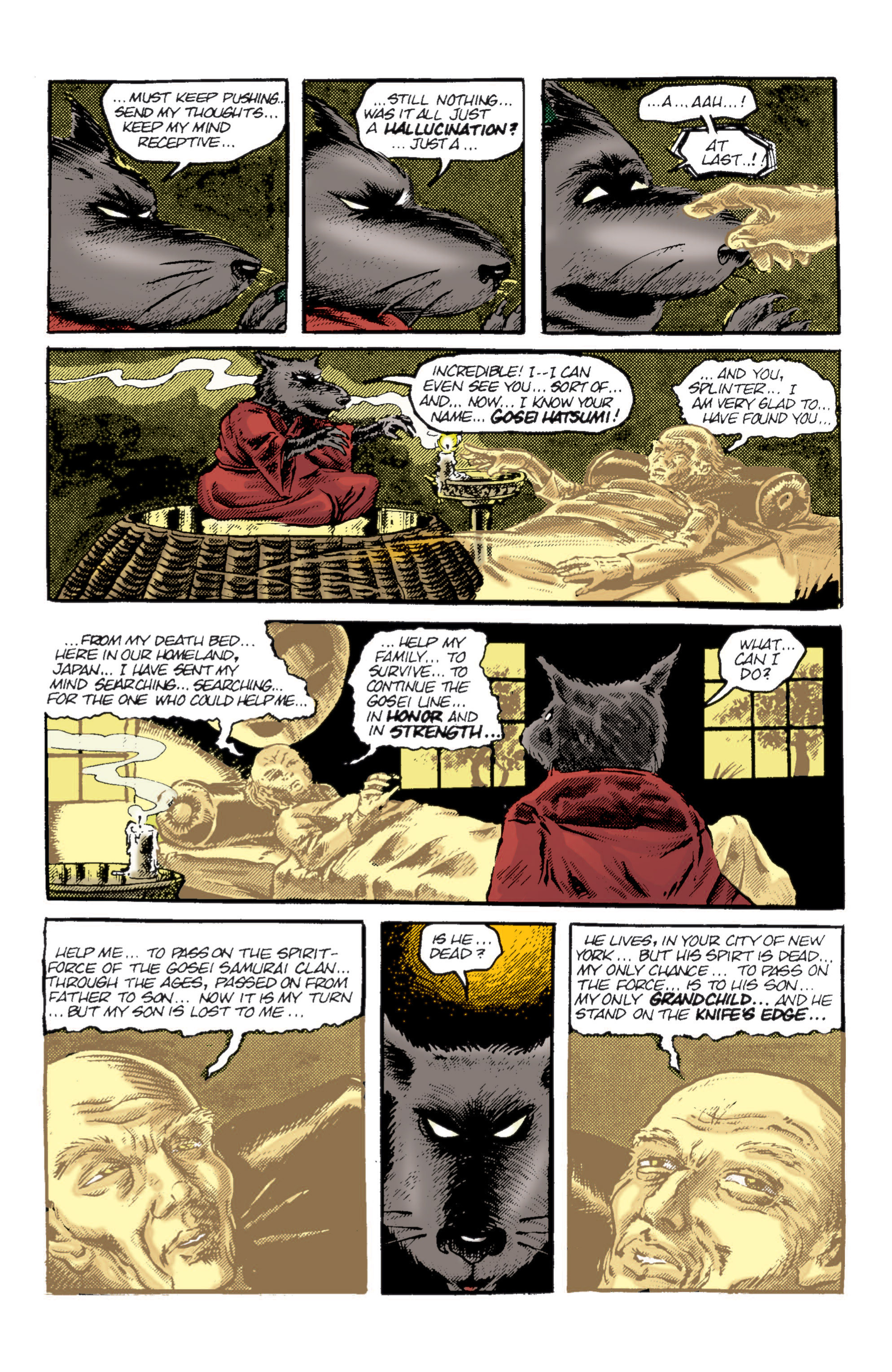 Read online Teenage Mutant Ninja Turtles Color Classics (2012) comic -  Issue #9 - 9