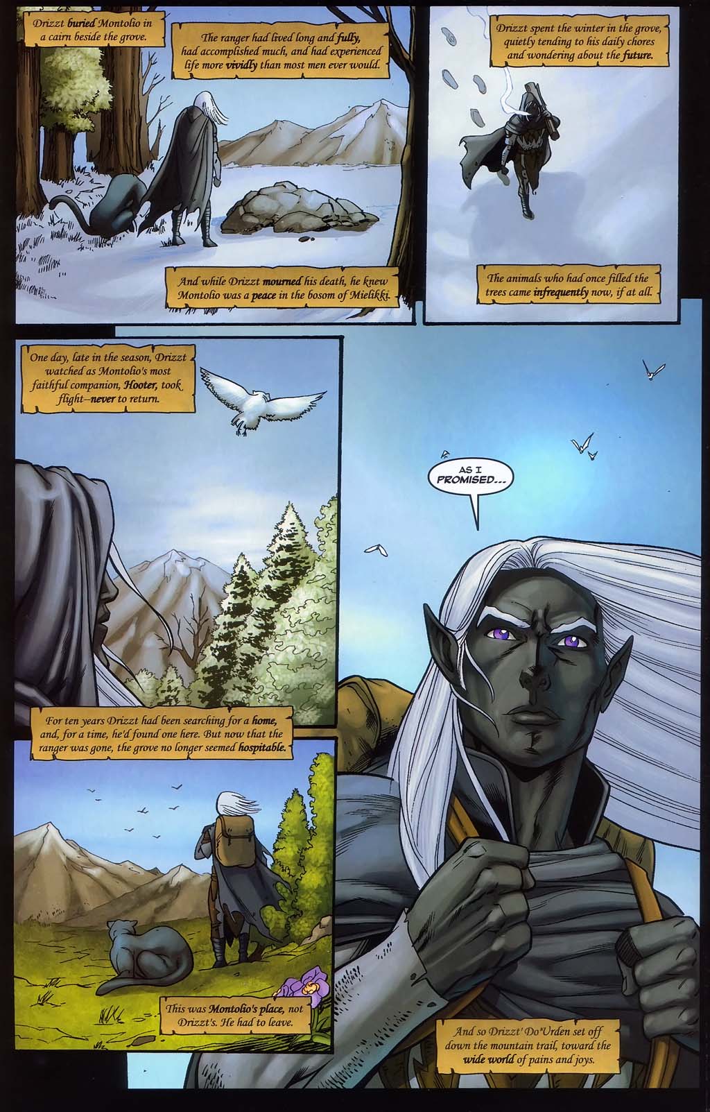 Read online Forgotten Realms: Sojourn comic -  Issue #3 - 18