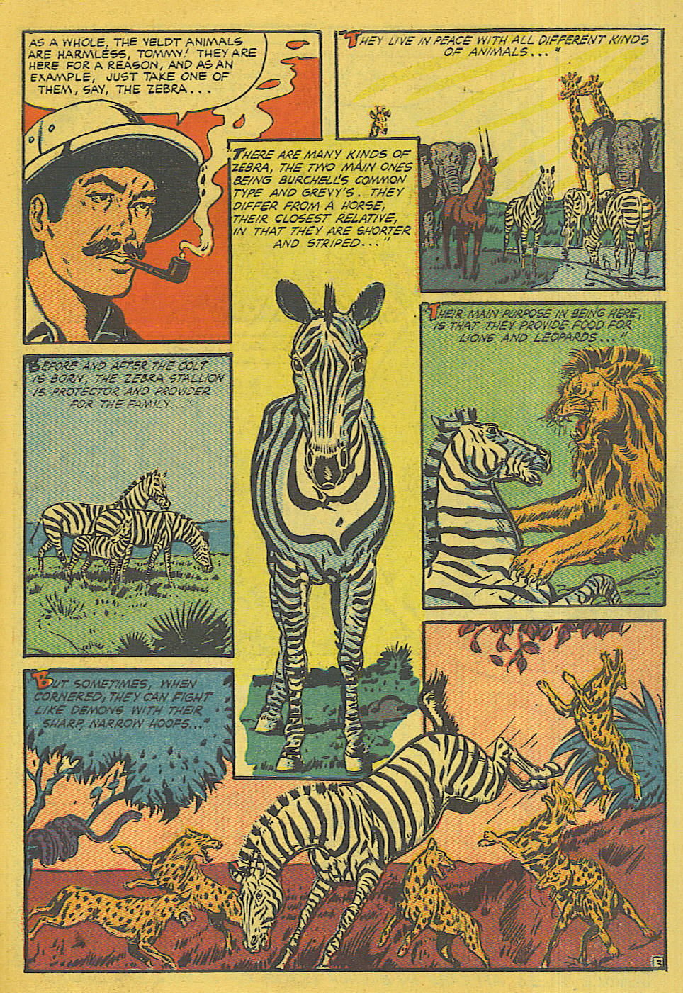 Read online Jungle Comics comic -  Issue #156 - 27
