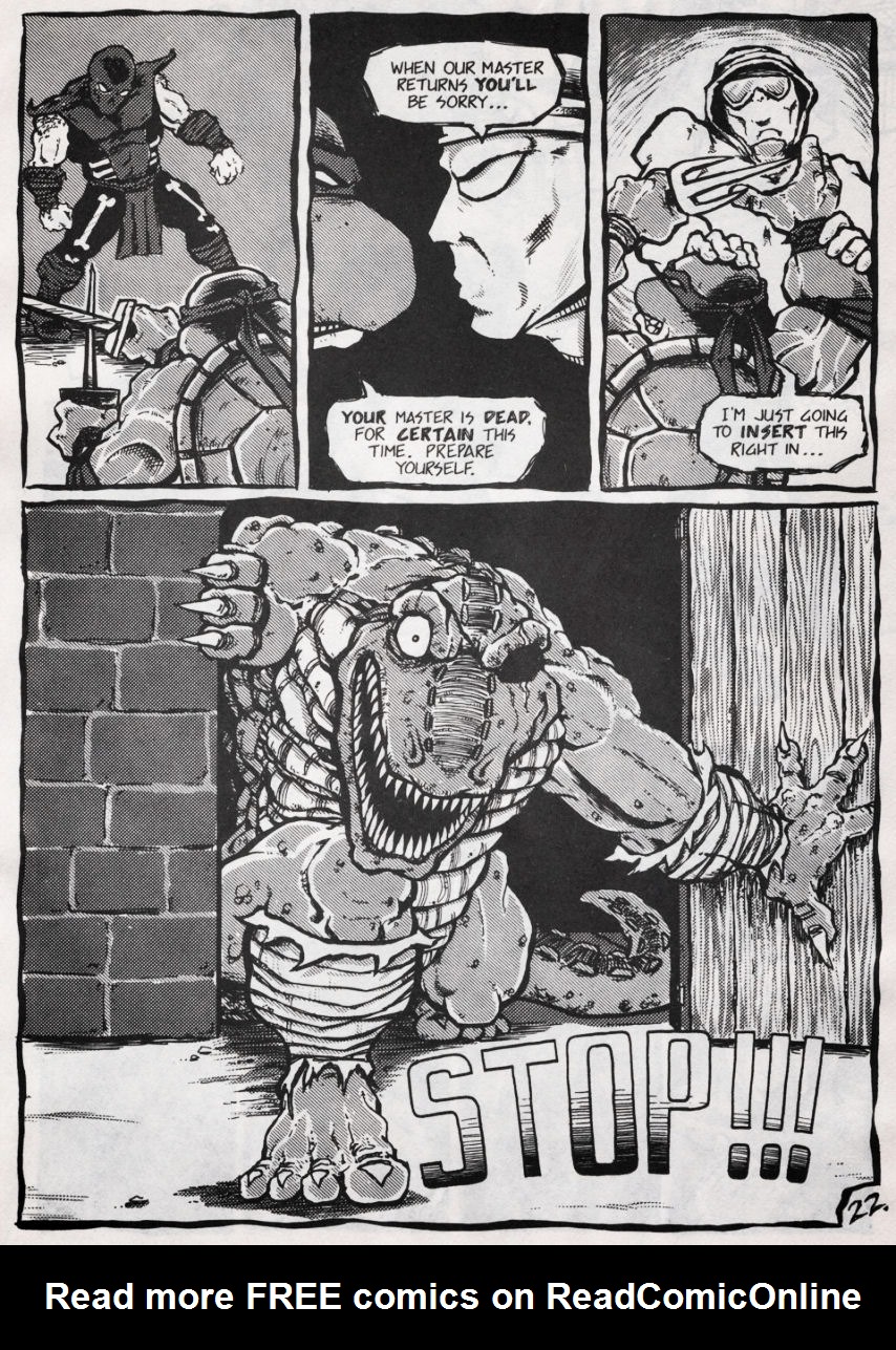 Read online Teenage Mutant Ninja Turtles (1984) comic -  Issue #45 - 19