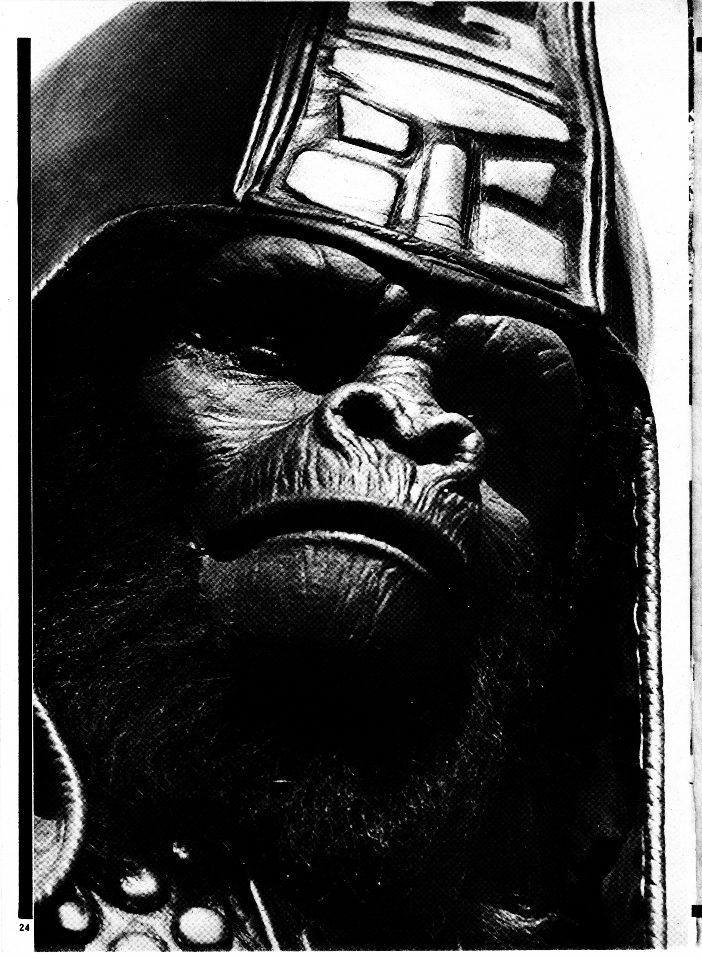 Read online Planet of the Apes (1974) comic -  Issue #22 - 22