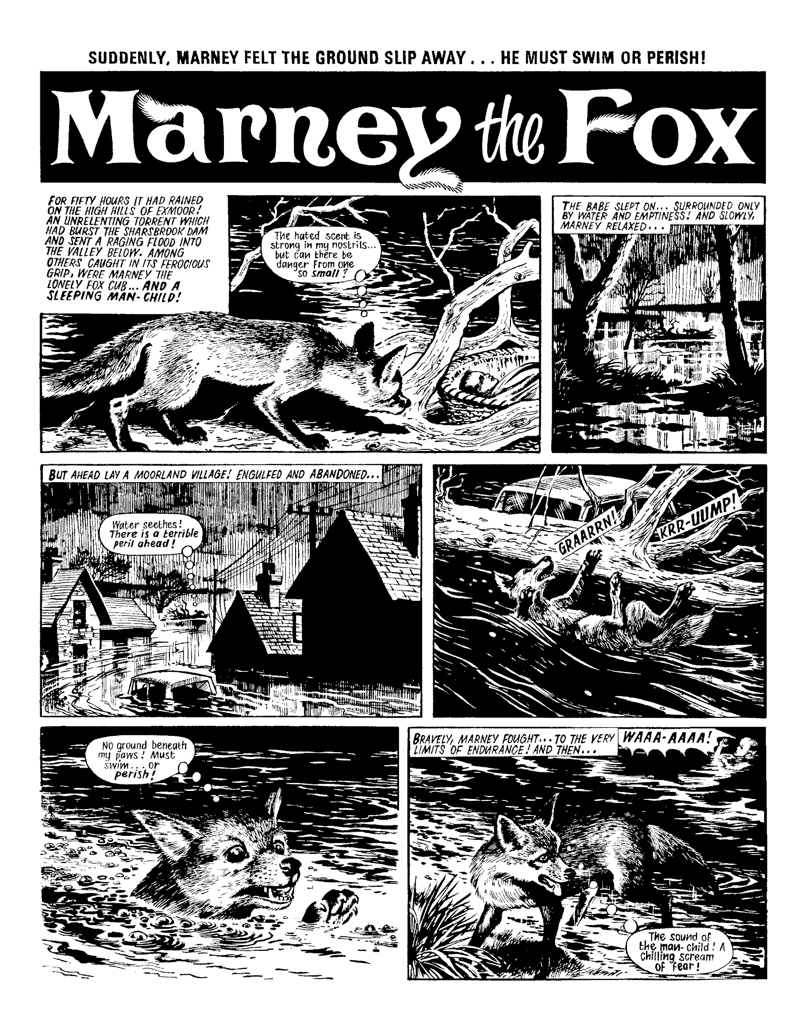 Read online Marney the Fox comic -  Issue # TPB (Part 1) - 25