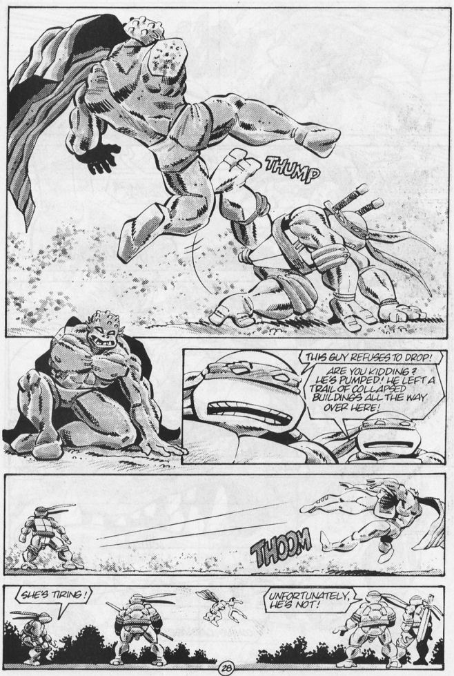 Tales of the Teenage Mutant Ninja Turtles issue 5 - Page 29