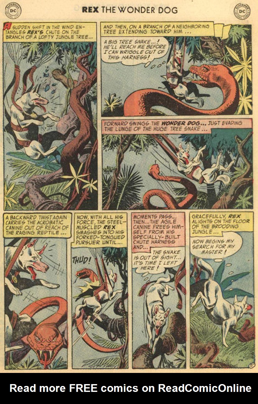 Read online The Adventures of Rex the Wonder Dog comic -  Issue #13 - 7