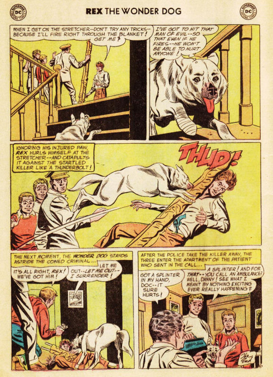 Read online The Adventures of Rex the Wonder Dog comic -  Issue #35 - 11
