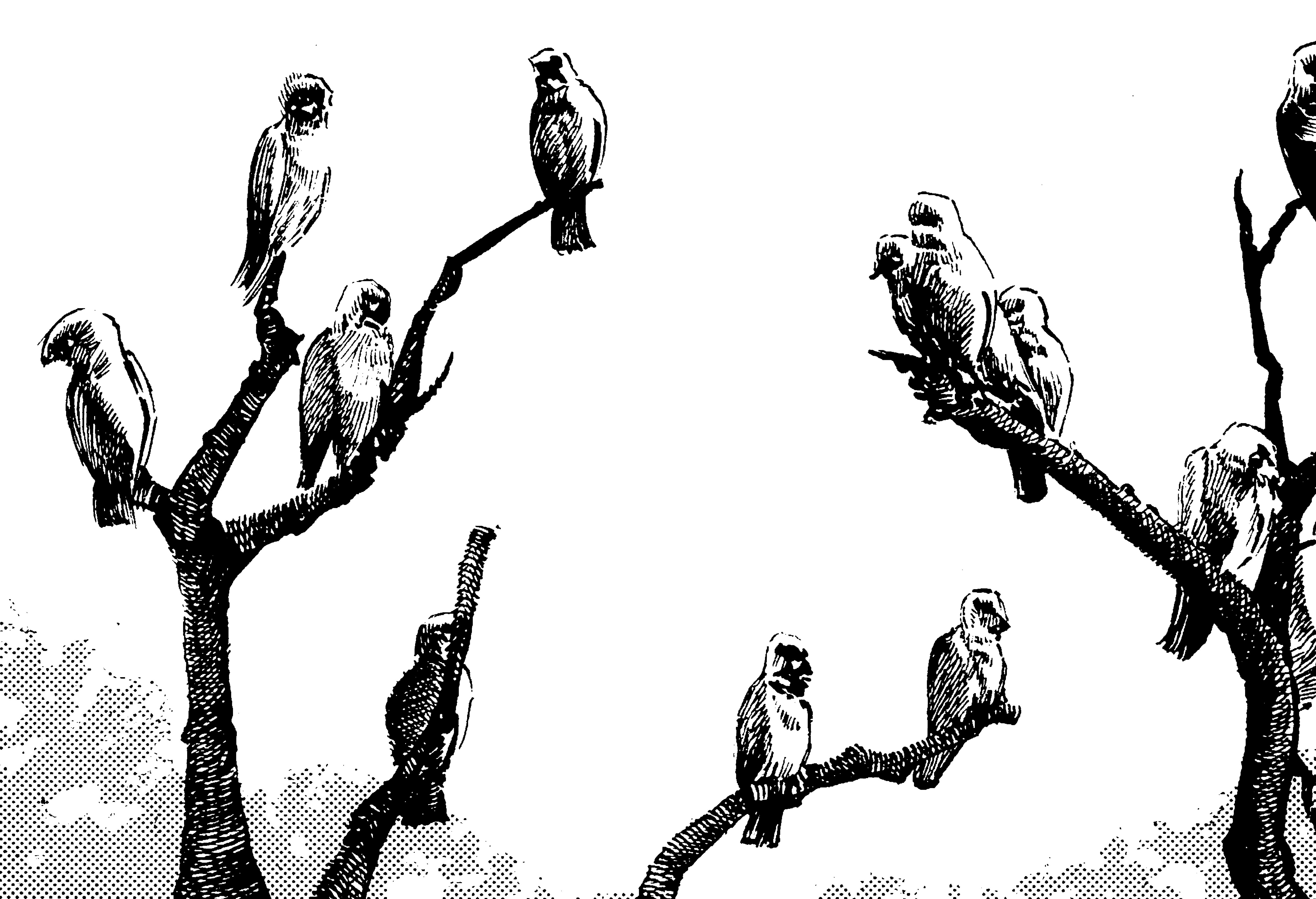 Read online Onward Towards Our Noble Deaths comic -  Issue # TPB (Part 1) - 2