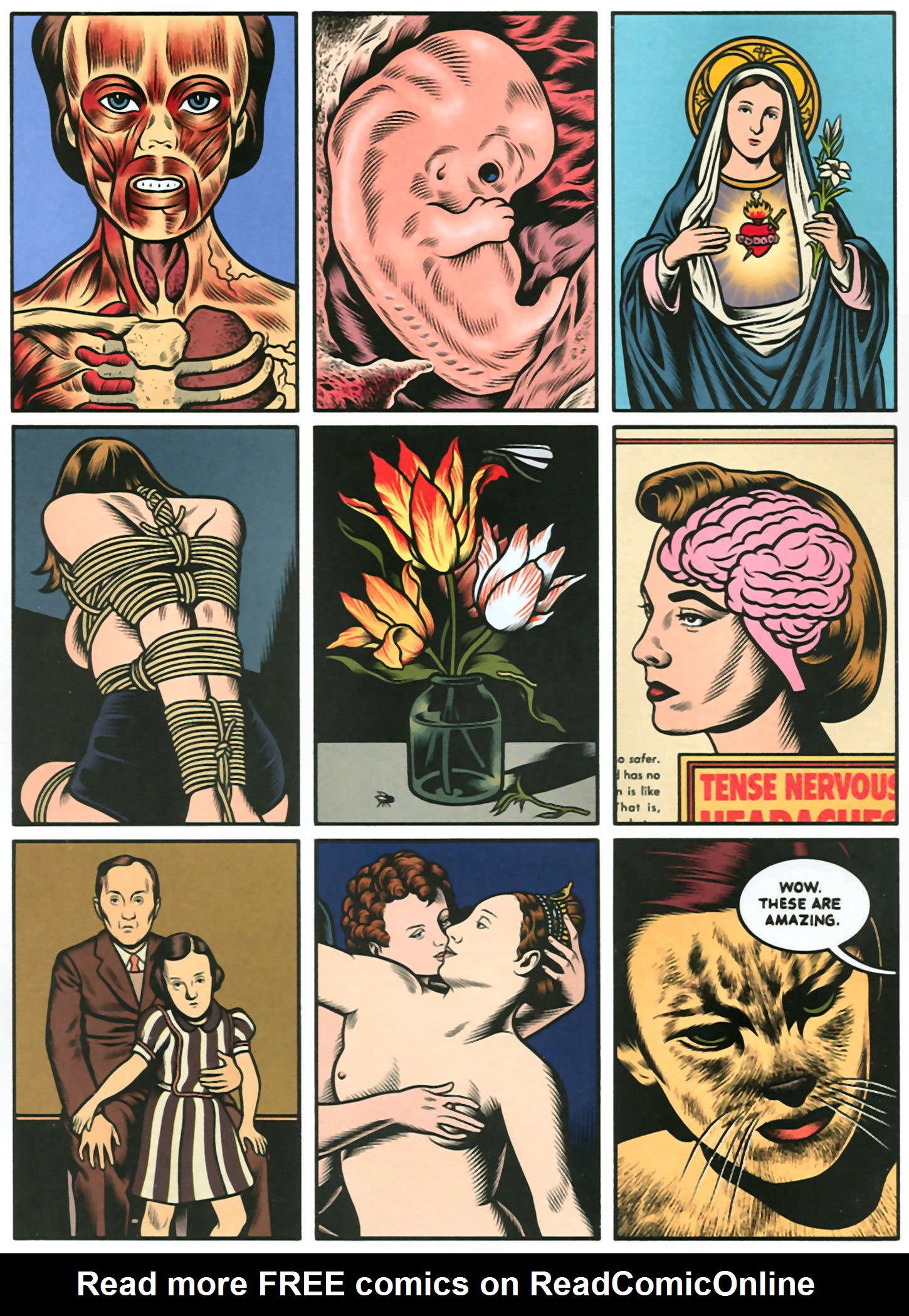 Read online Charles Burns The Hive comic -  Issue # Full - 28