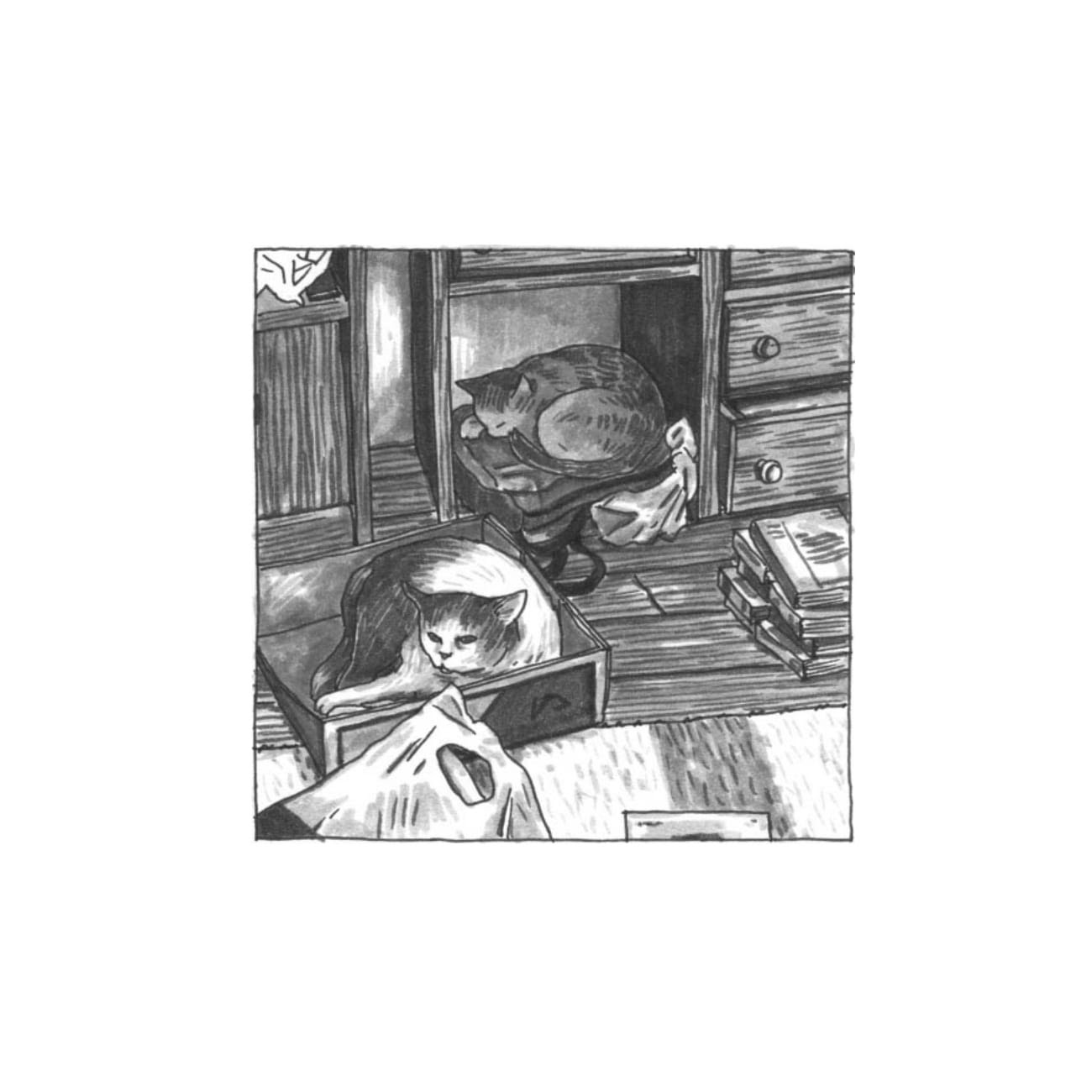 Read online Cats are Weird and More Observations comic -  Issue # TPB - 46