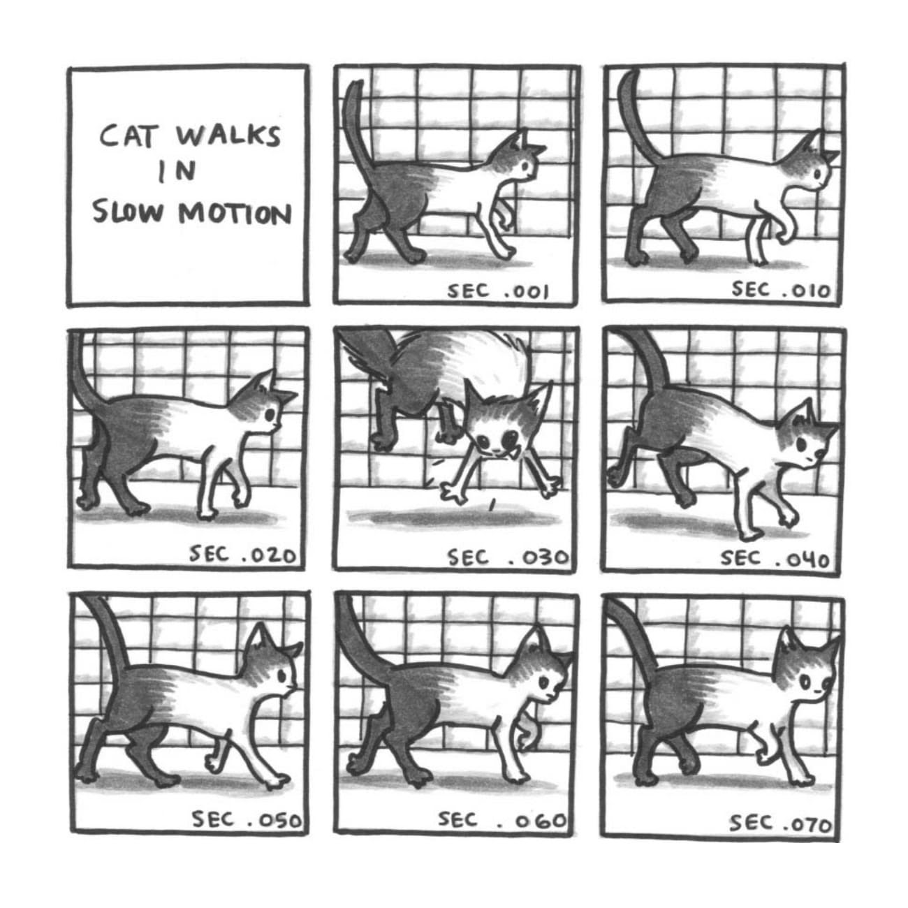 Read online Cats are Weird and More Observations comic -  Issue # TPB - 30