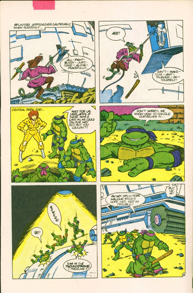 Read online Teenage Mutant Ninja Turtles Adventures (1988) comic -  Issue #1 - 30