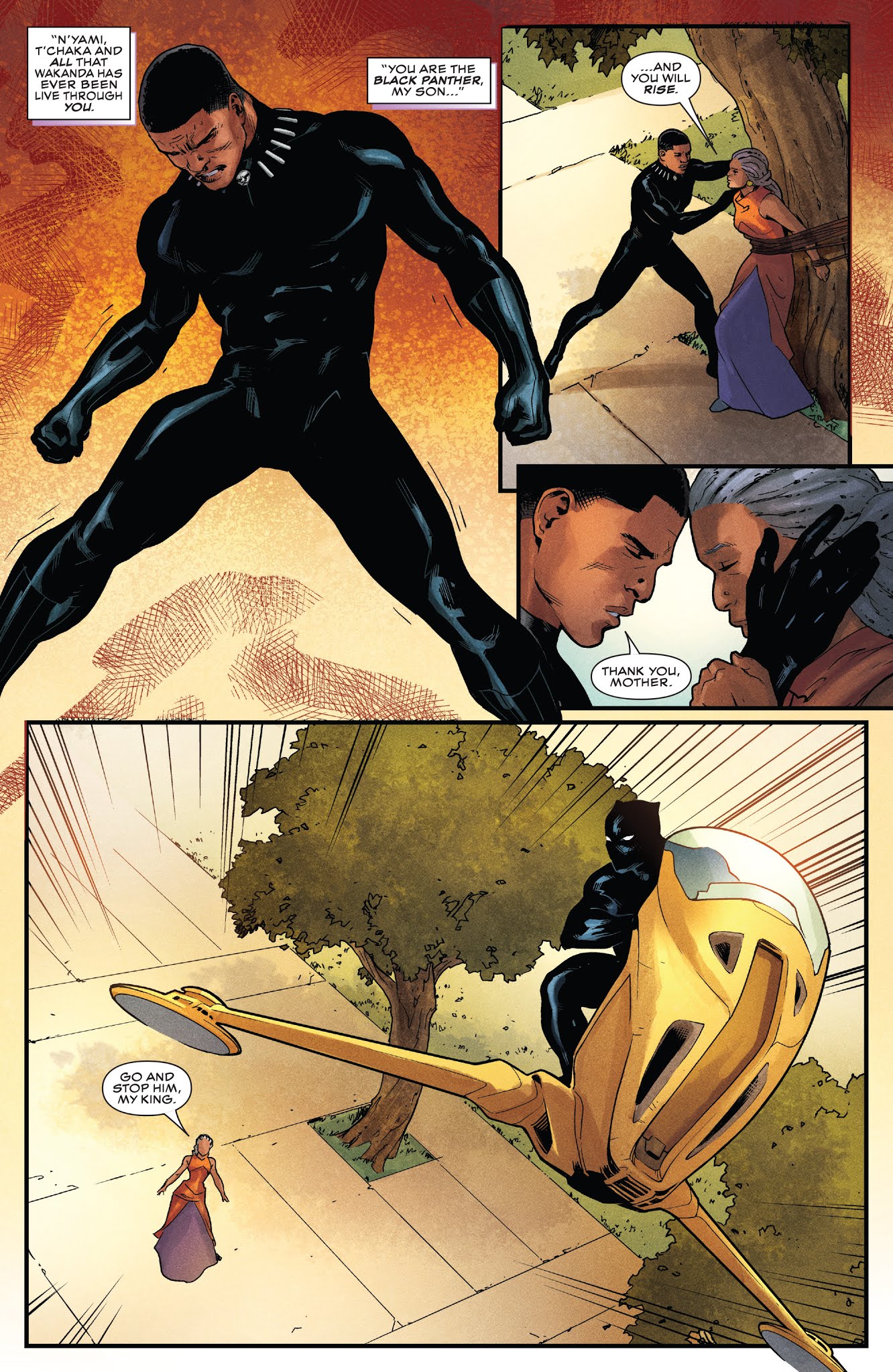 Read online Rise of the Black Panther comic -  Issue #6 - 10