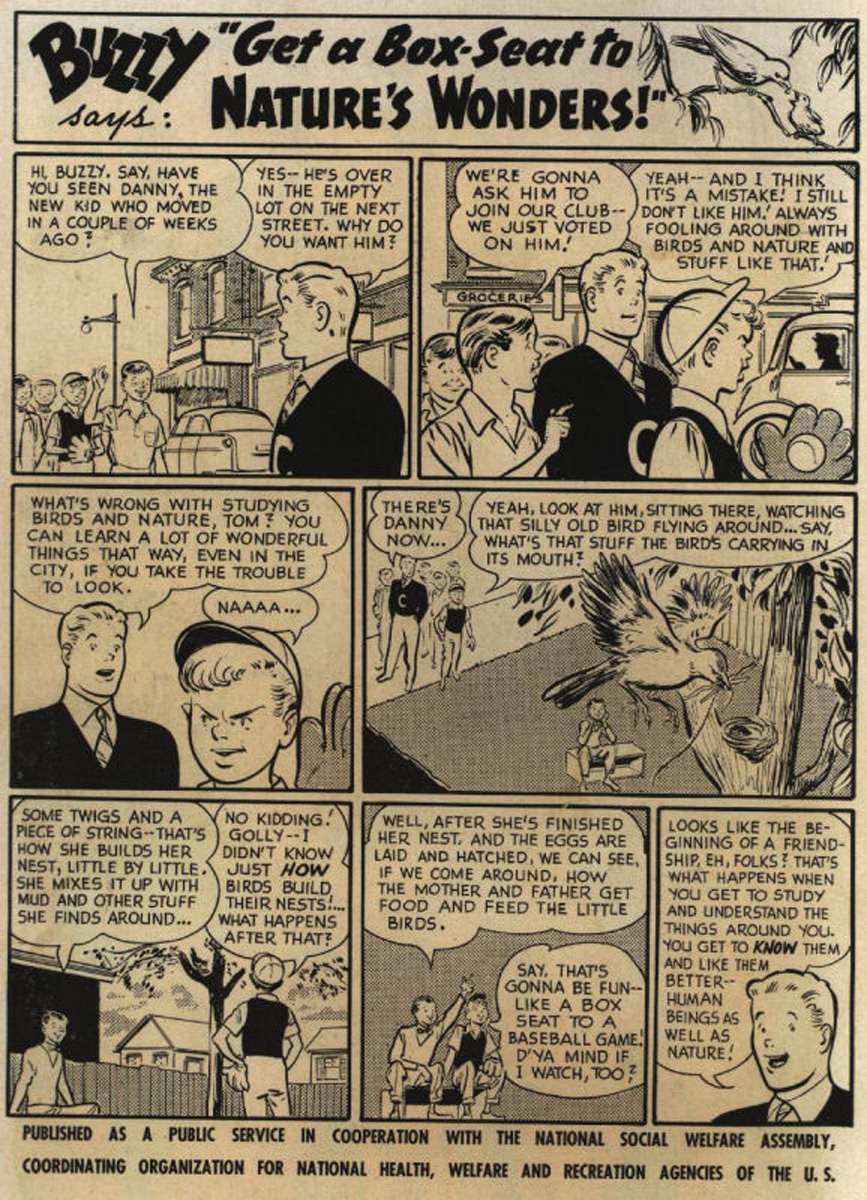 Read online The Adventures of Rex the Wonder Dog comic -  Issue #10 - 2