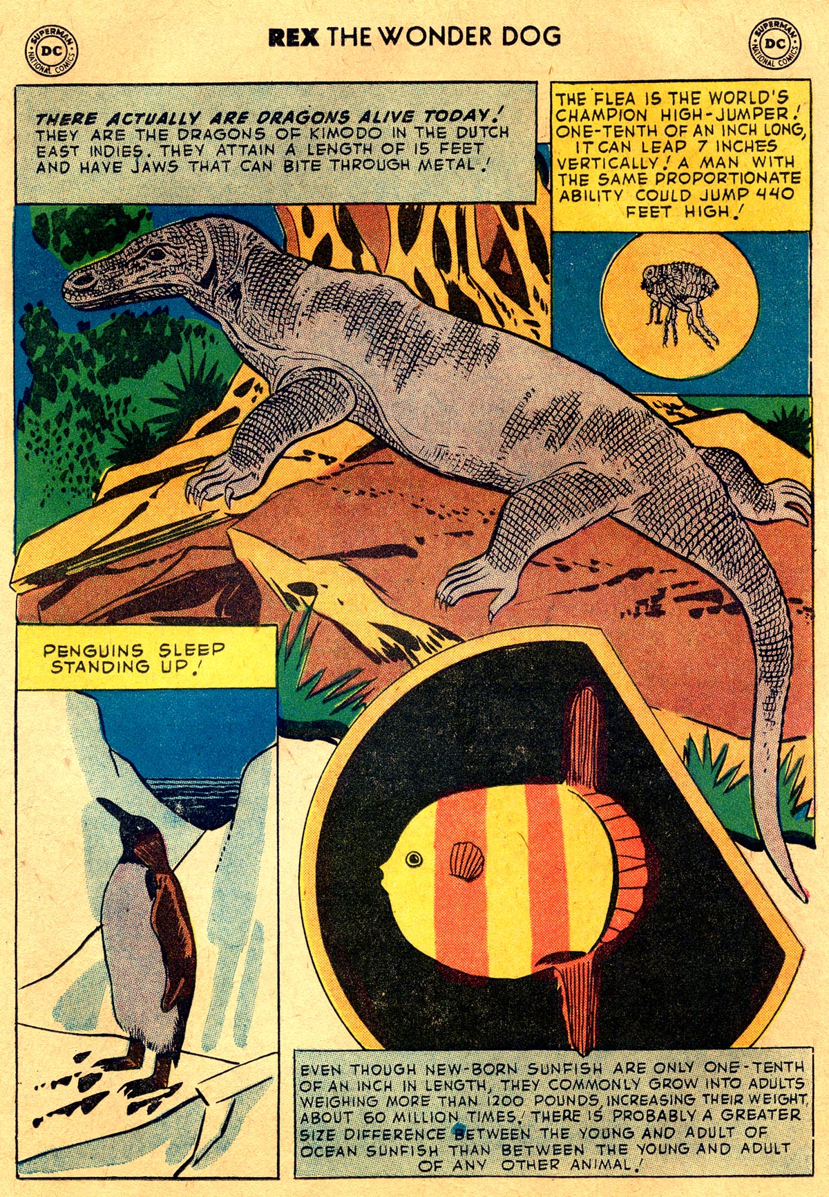 Read online The Adventures of Rex the Wonder Dog comic -  Issue #40 - 23