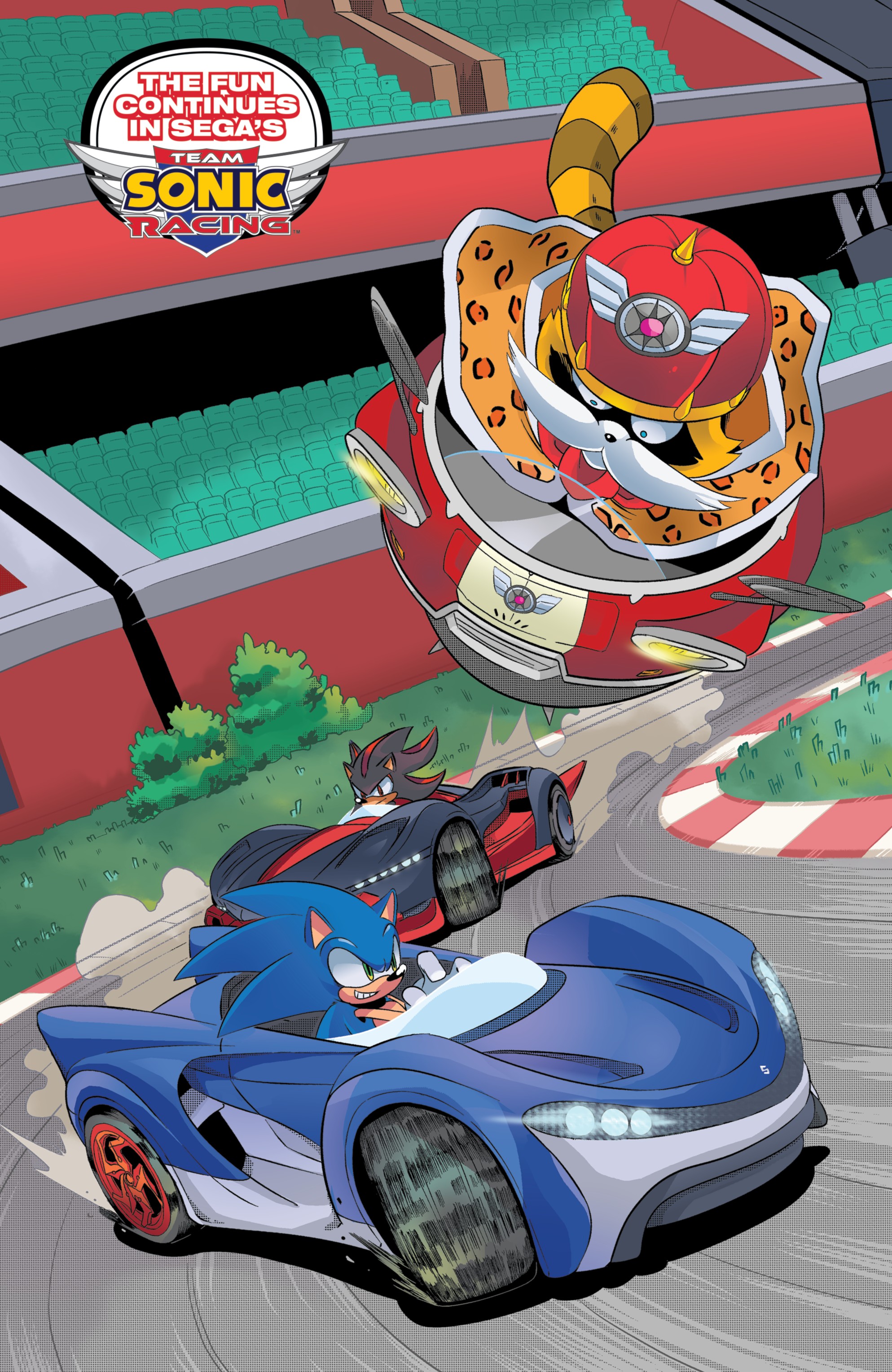 Read online Team Sonic Racing Deluxe Turbo Championship Edition comic -  Issue # Full - 22