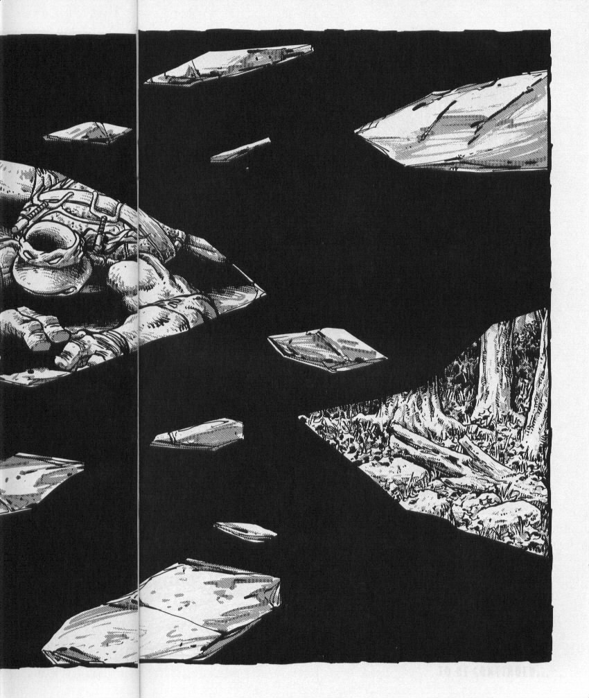 Read online Teenage Mutant Ninja Turtles (1984) comic -  Issue #50 - 47