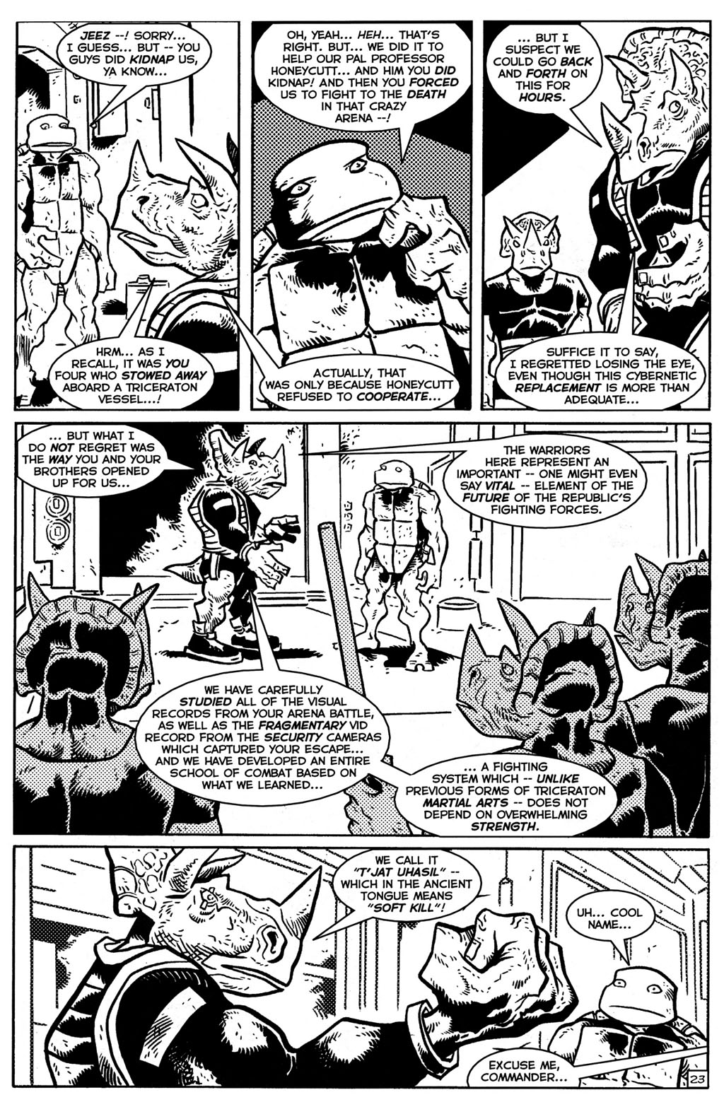 TMNT: Teenage Mutant Ninja Turtles issue 28 - Page 24