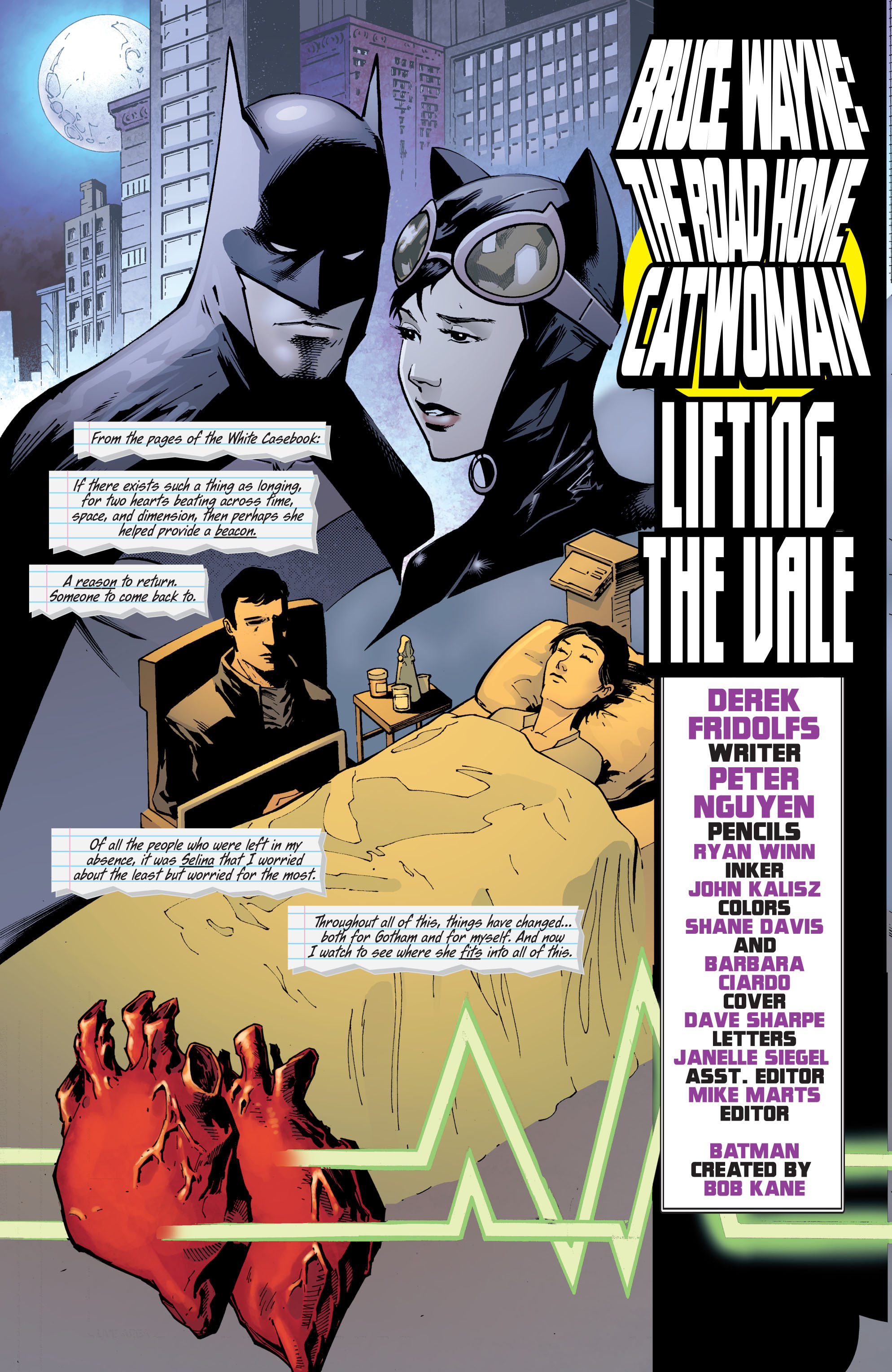 Read online Batman: Bruce Wayne - The Road Home comic -  Issue # TPB - 102