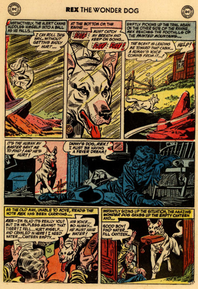 Read online The Adventures of Rex the Wonder Dog comic -  Issue #10 - 29