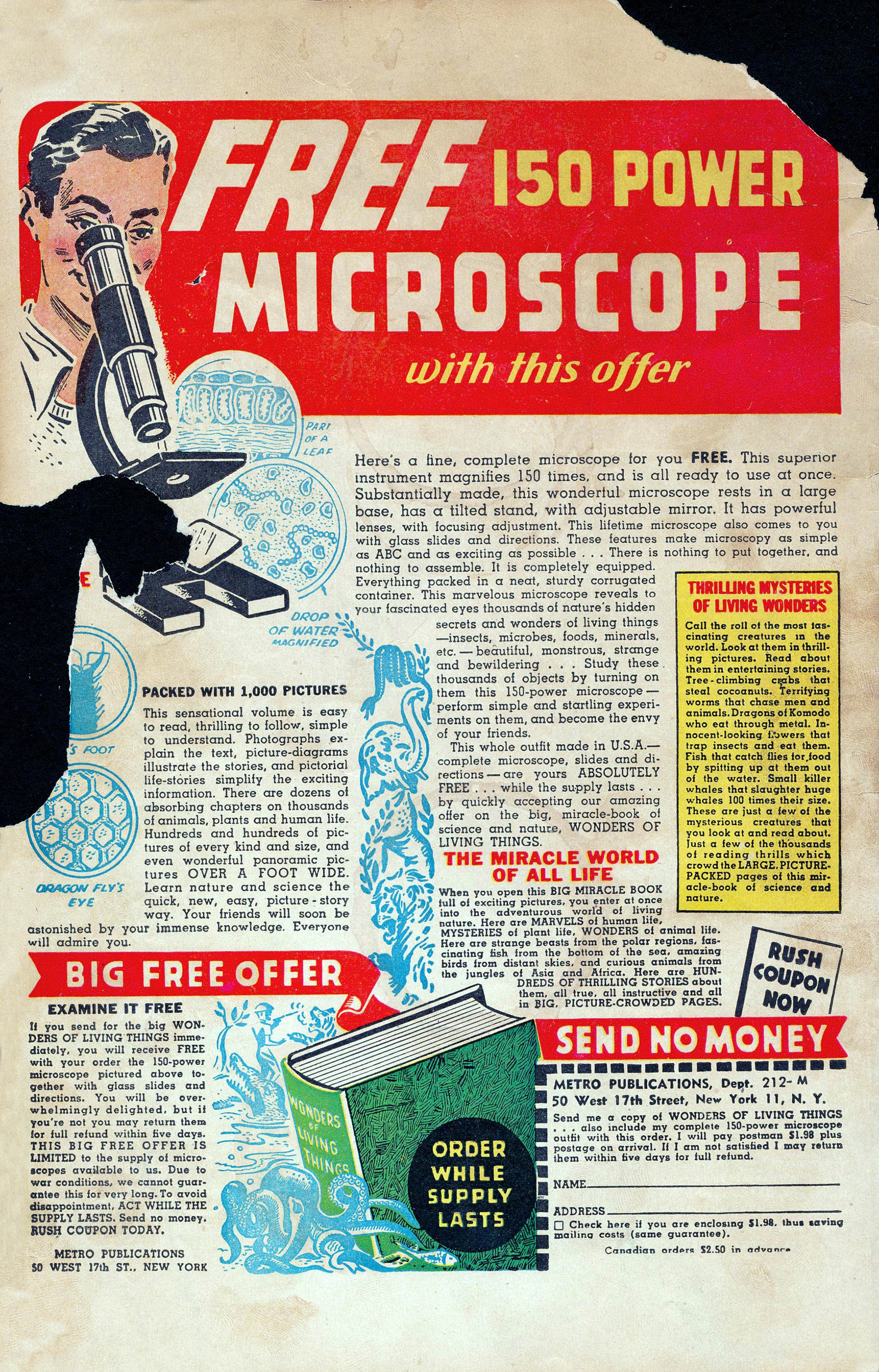 Read online Complete Comics comic -  Issue #2 - 52