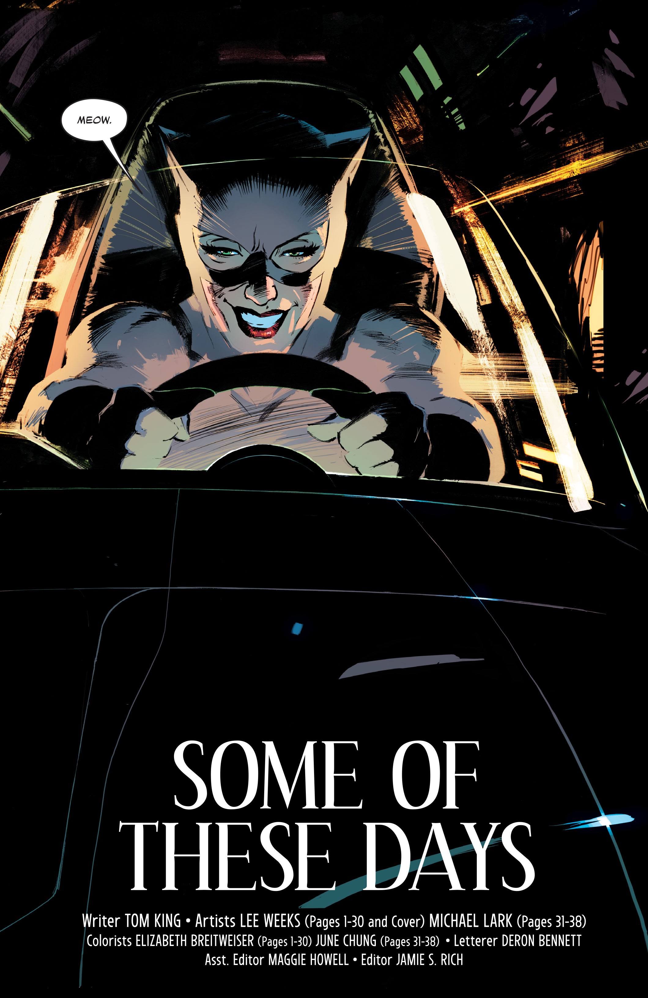 Read online Batman by Tom King & Lee Weeks: The Deluxe Edition comic -  Issue # TPB (Part 1) - 12