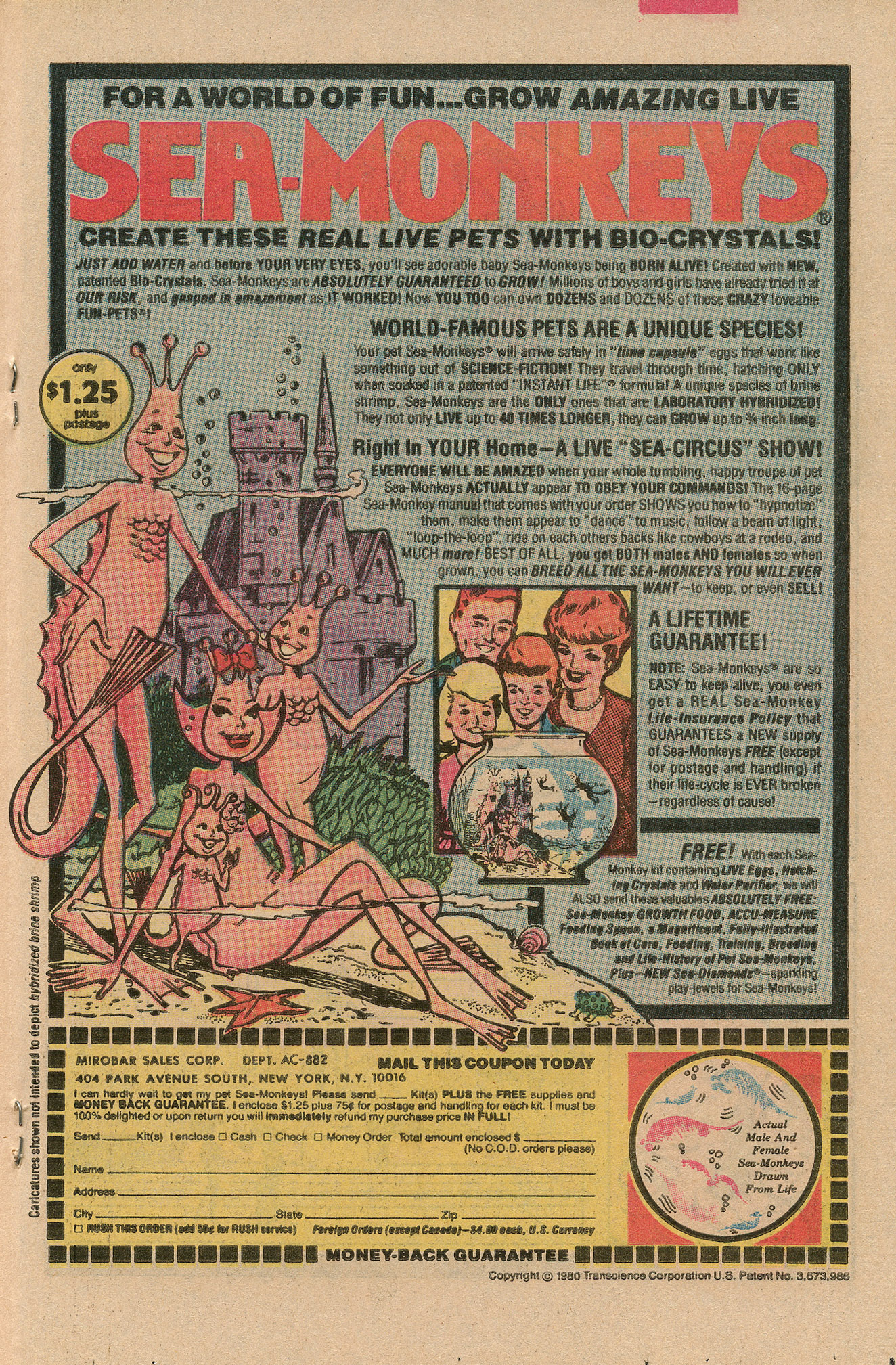 Read online Archie's Pals 'N' Gals (1952) comic -  Issue #160 - 19