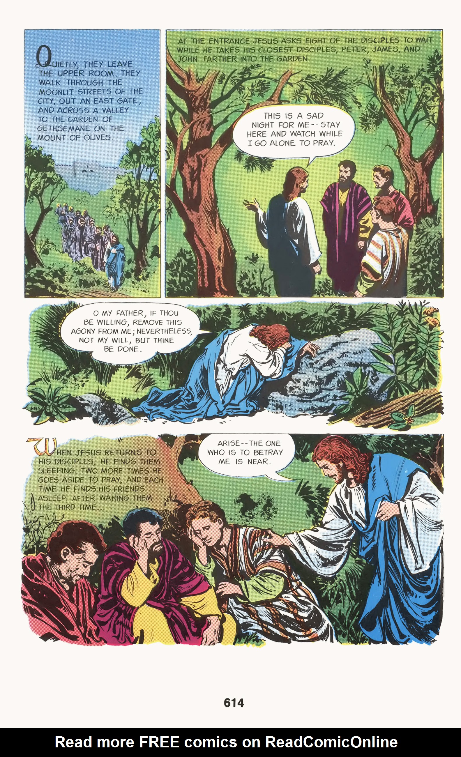 Read online The Picture Bible comic -  Issue # TPB (Part 7) - 17