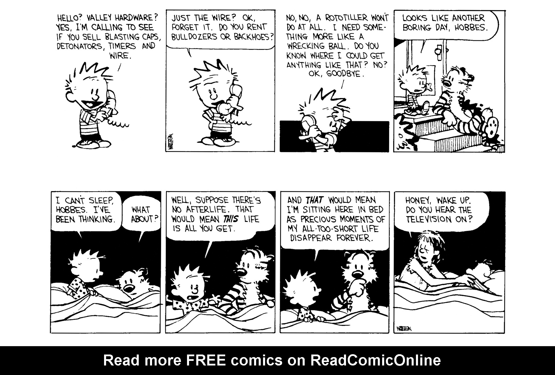 Read online Calvin and Hobbes comic -  Issue #6 - 28
