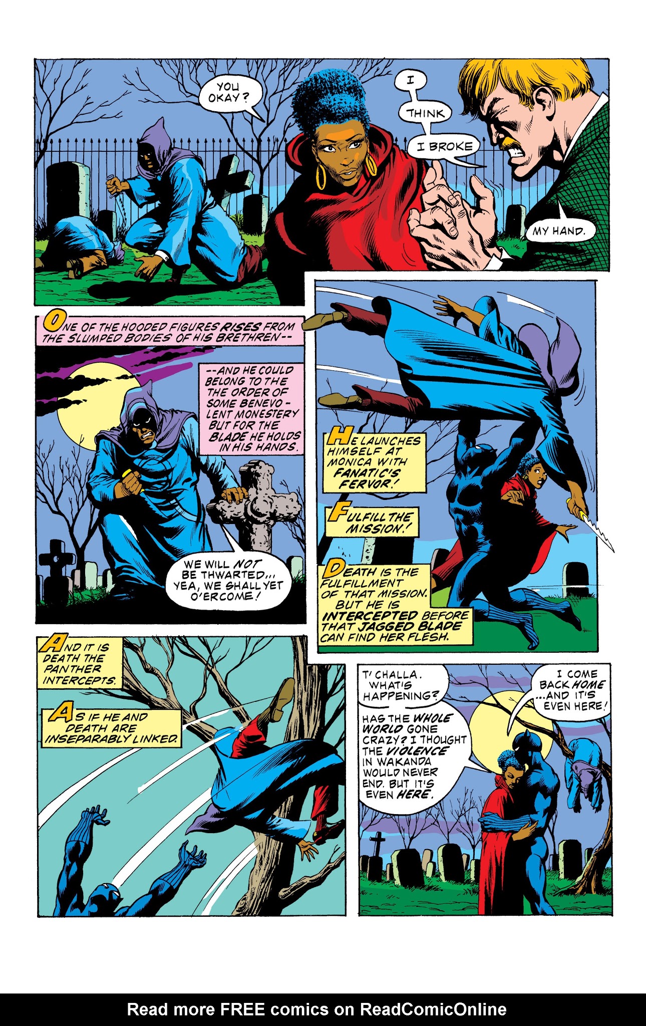 Read online Marvel Masterworks: The Black Panther comic -  Issue # TPB 1 - 233
