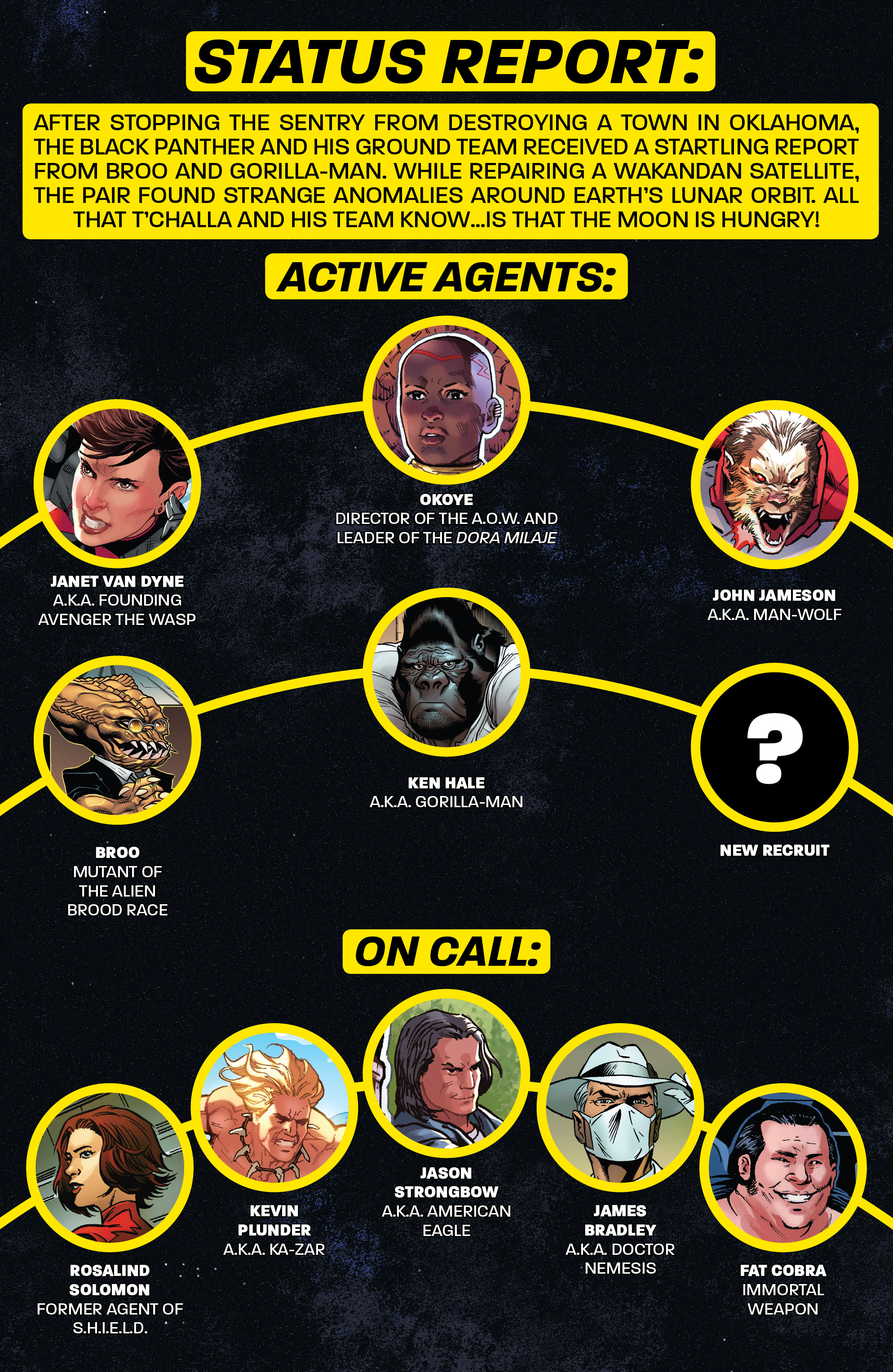 Read online Black Panther and the Agents of Wakanda comic -  Issue #3 - 3