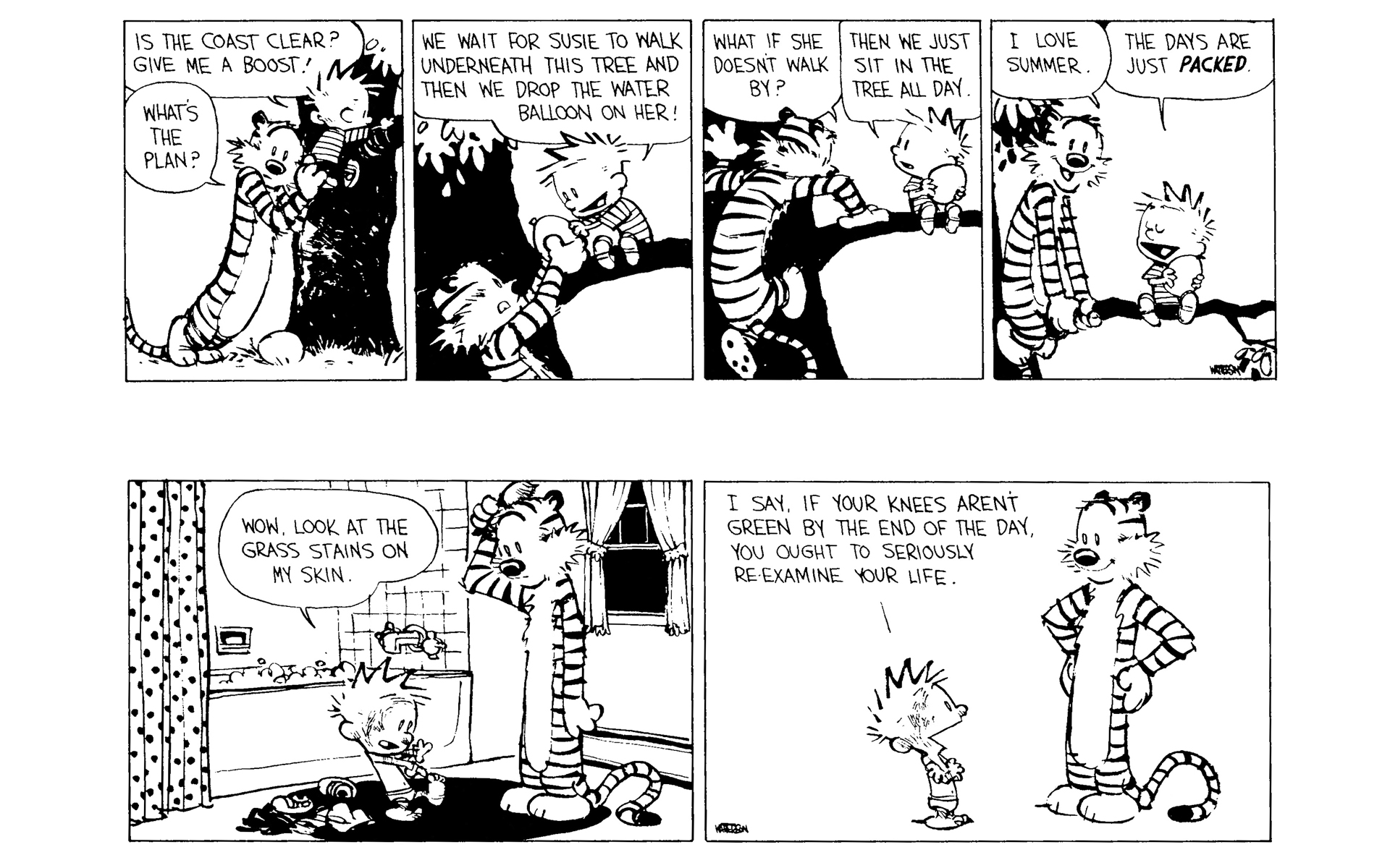 Read online Calvin and Hobbes comic -  Issue #8 - 115