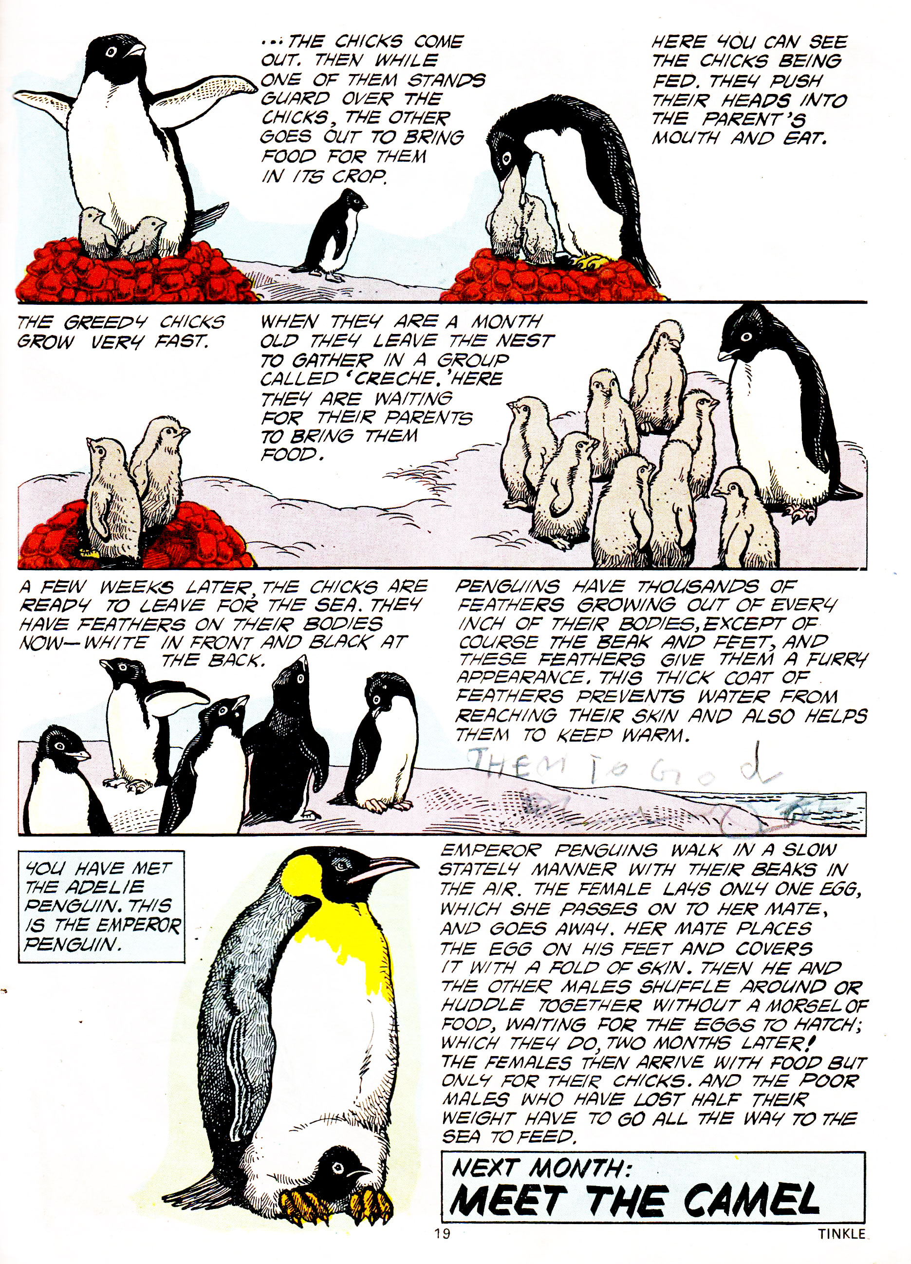 Read online Tinkle comic -  Issue #11 - 21