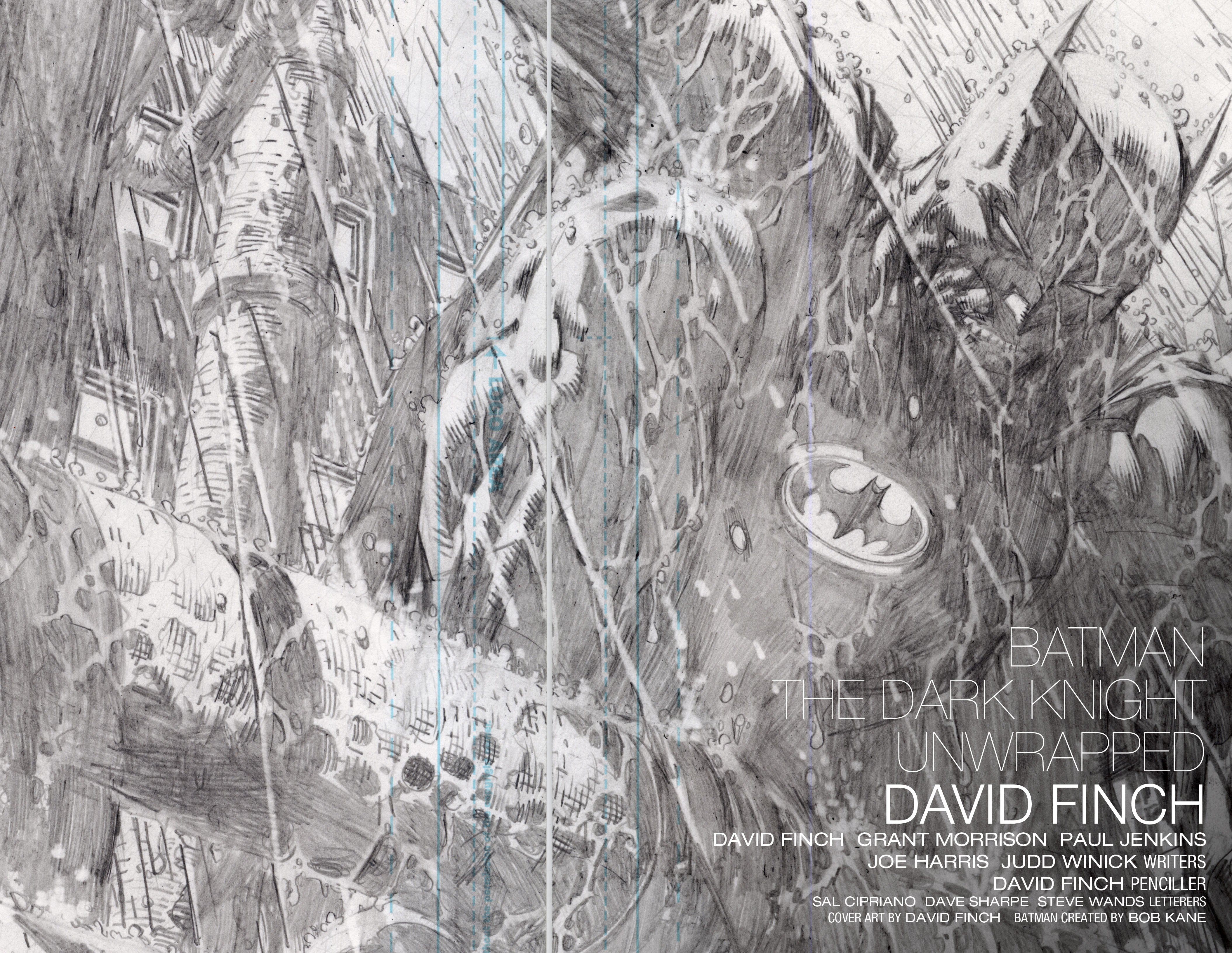 Read online Batman: The Dark Knight Unwrapped By David Finch Deluxe Edition comic -  Issue # TPB (Part 1) - 3