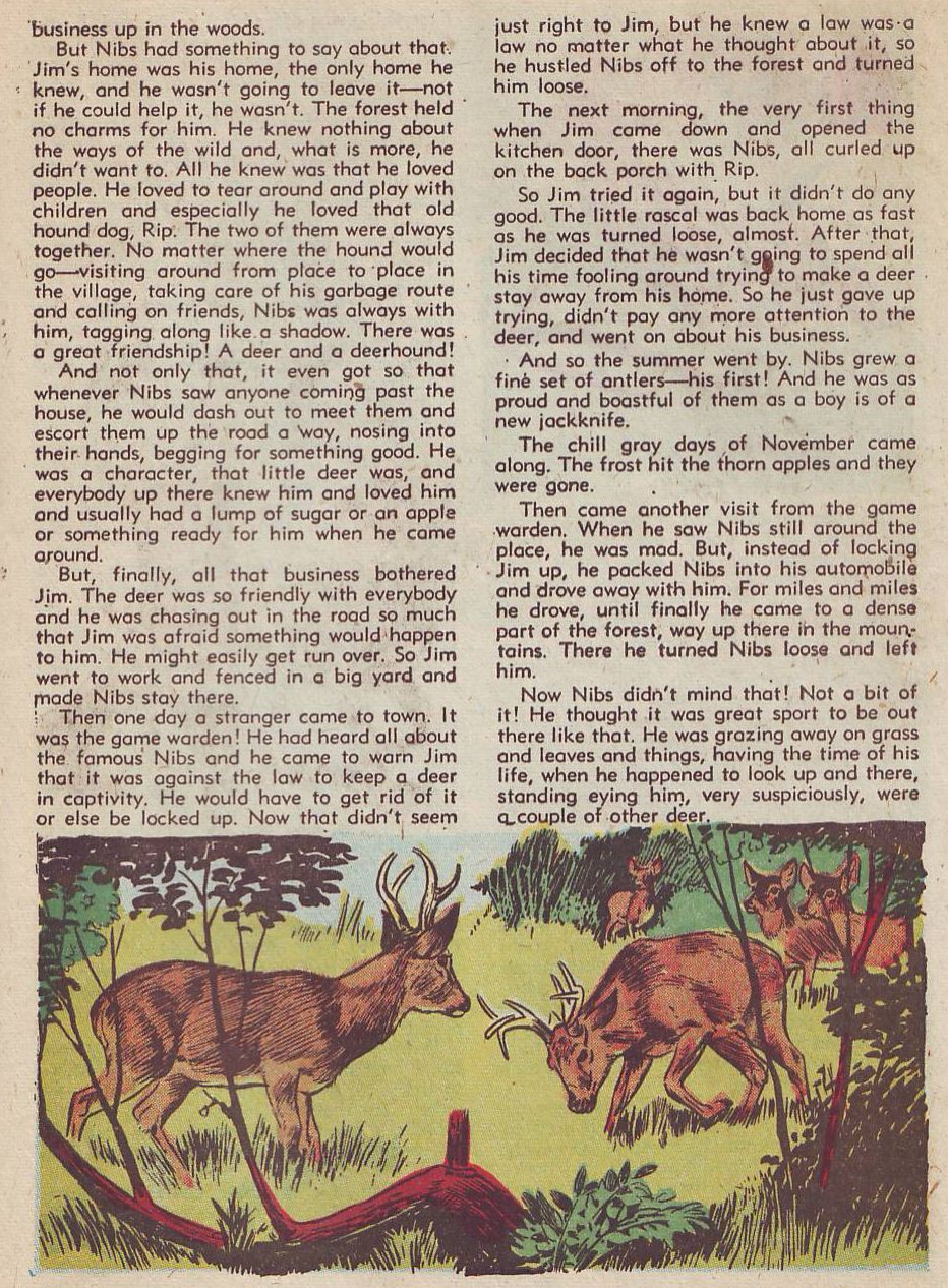 Read online Animal Comics comic -  Issue #27 - 39