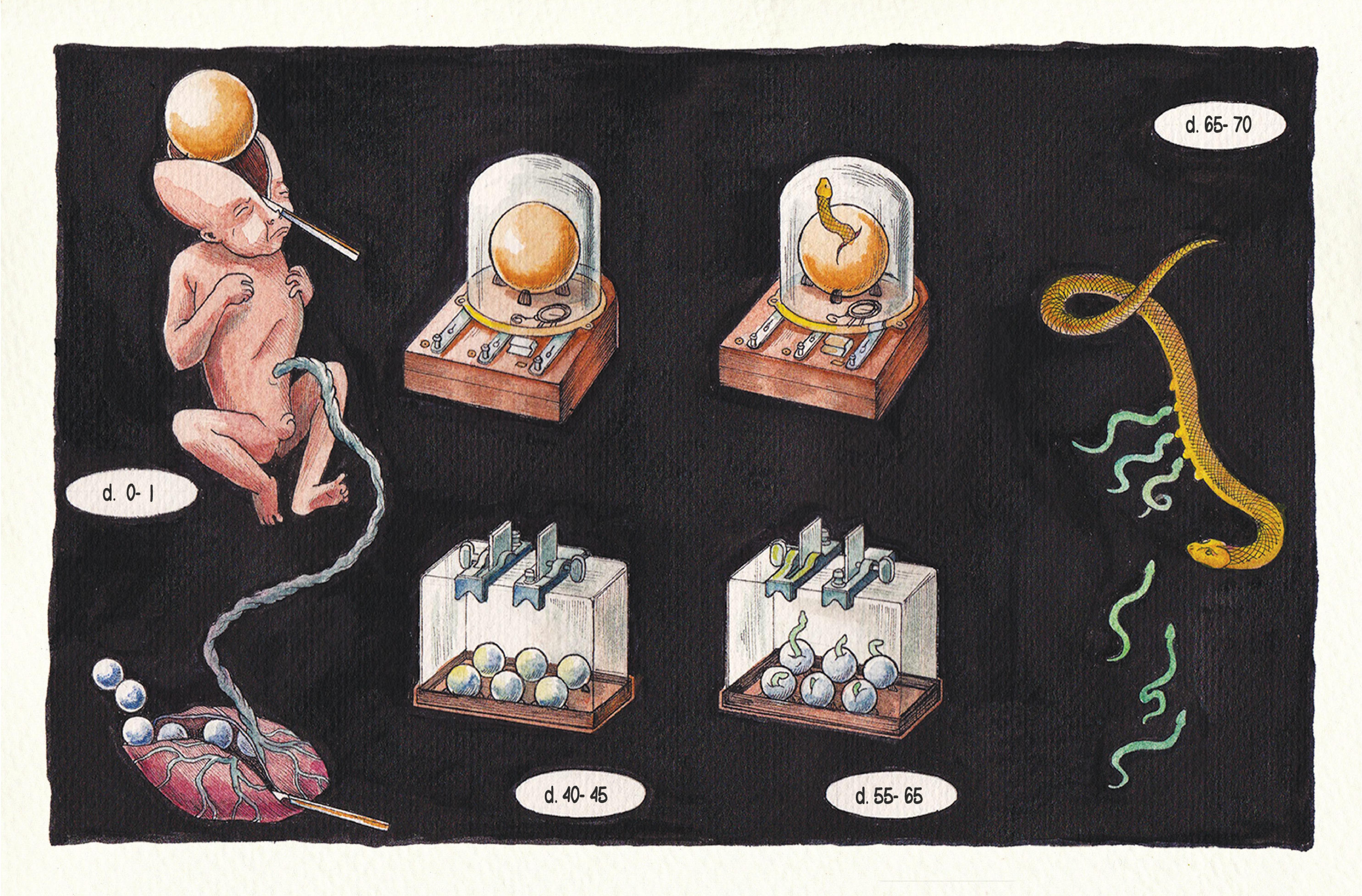 Read online Vivisectionary comic -  Issue # TPB - 58