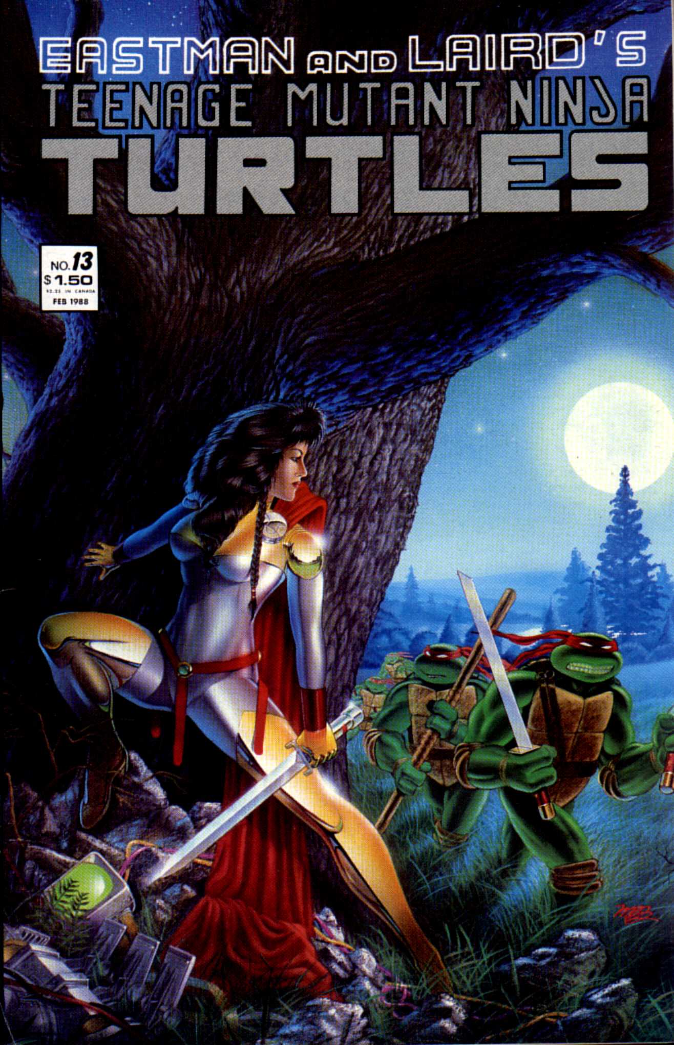 Read online Teenage Mutant Ninja Turtles (1984) comic -  Issue #13 - 2