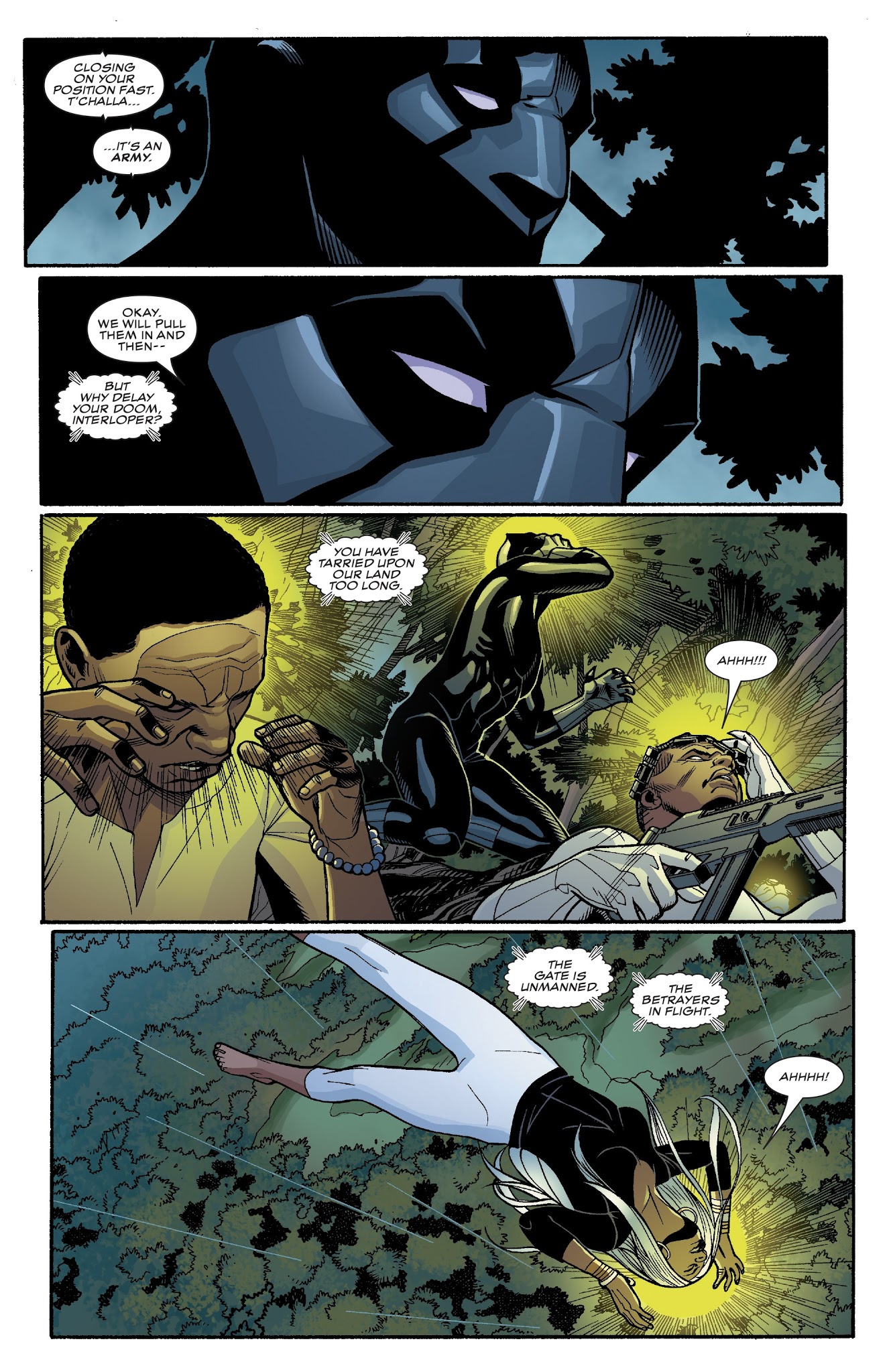 Read online Black Panther (2016) comic -  Issue #17 - 13