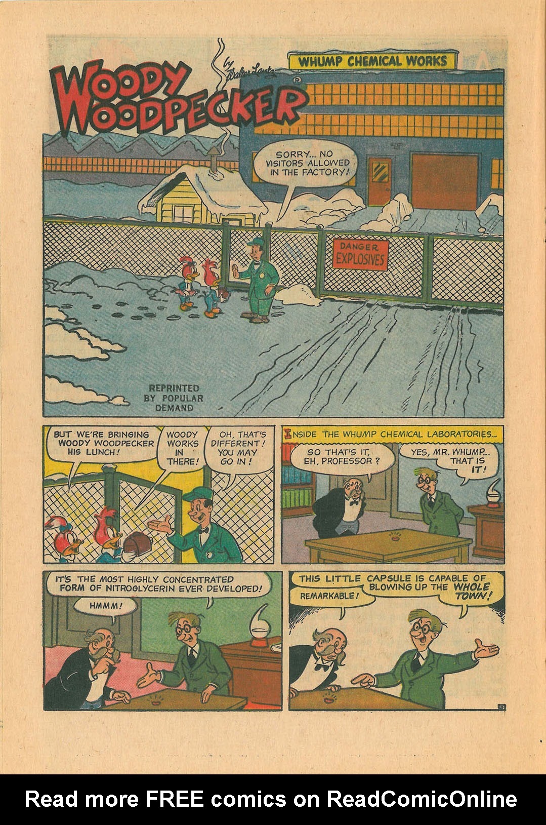 Read online Walter Lantz Woody Woodpecker (1962) comic -  Issue #95 - 16