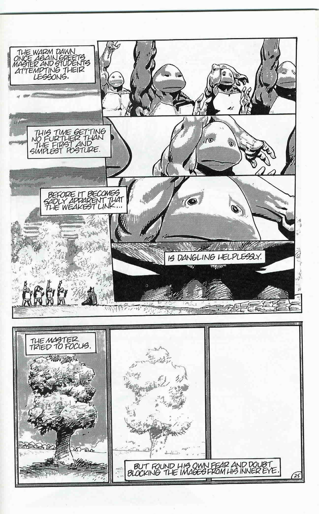 Teenage Mutant Ninja Turtles (1984) Issue #24 #24 - English 26