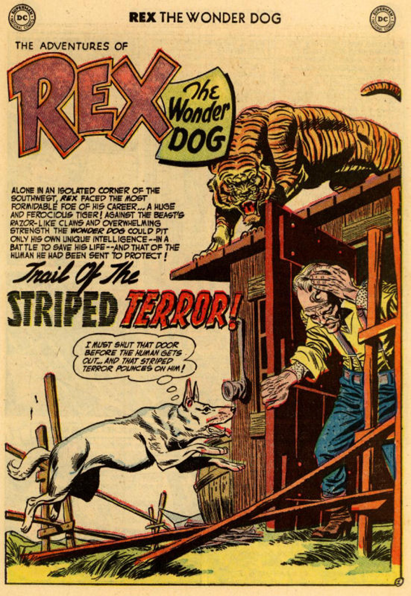 Read online The Adventures of Rex the Wonder Dog comic -  Issue #10 - 25