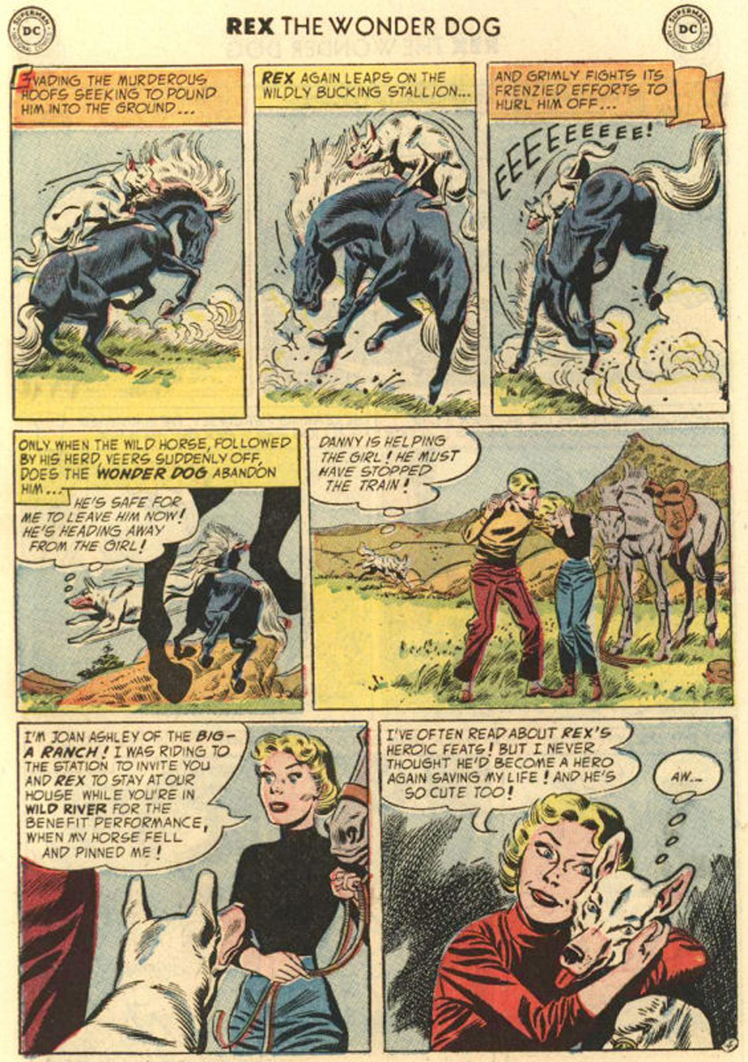 Read online The Adventures of Rex the Wonder Dog comic -  Issue #14 - 6
