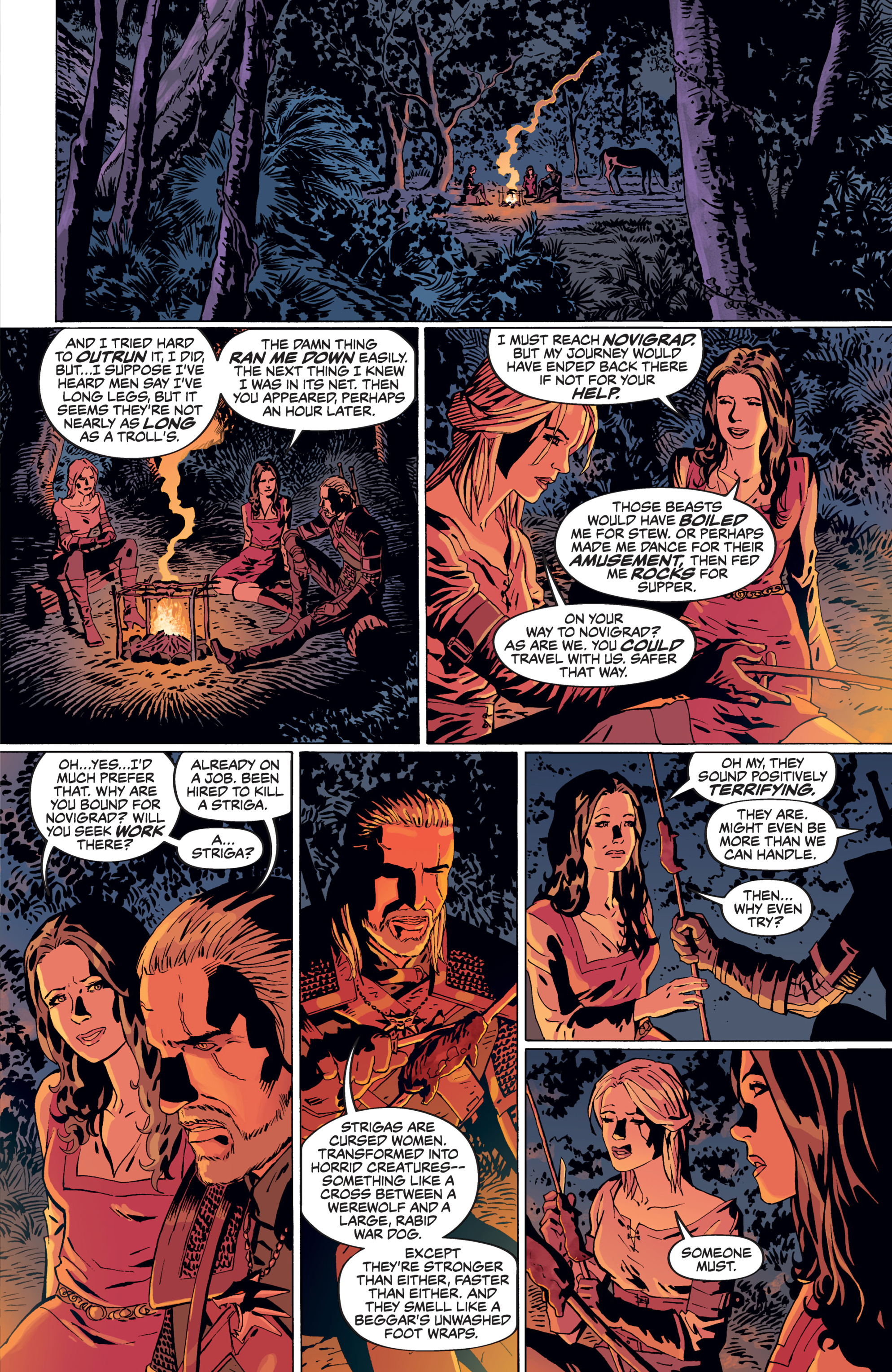 Read online The Witcher Omnibus comic -  Issue # TPB (Part 4) - 4